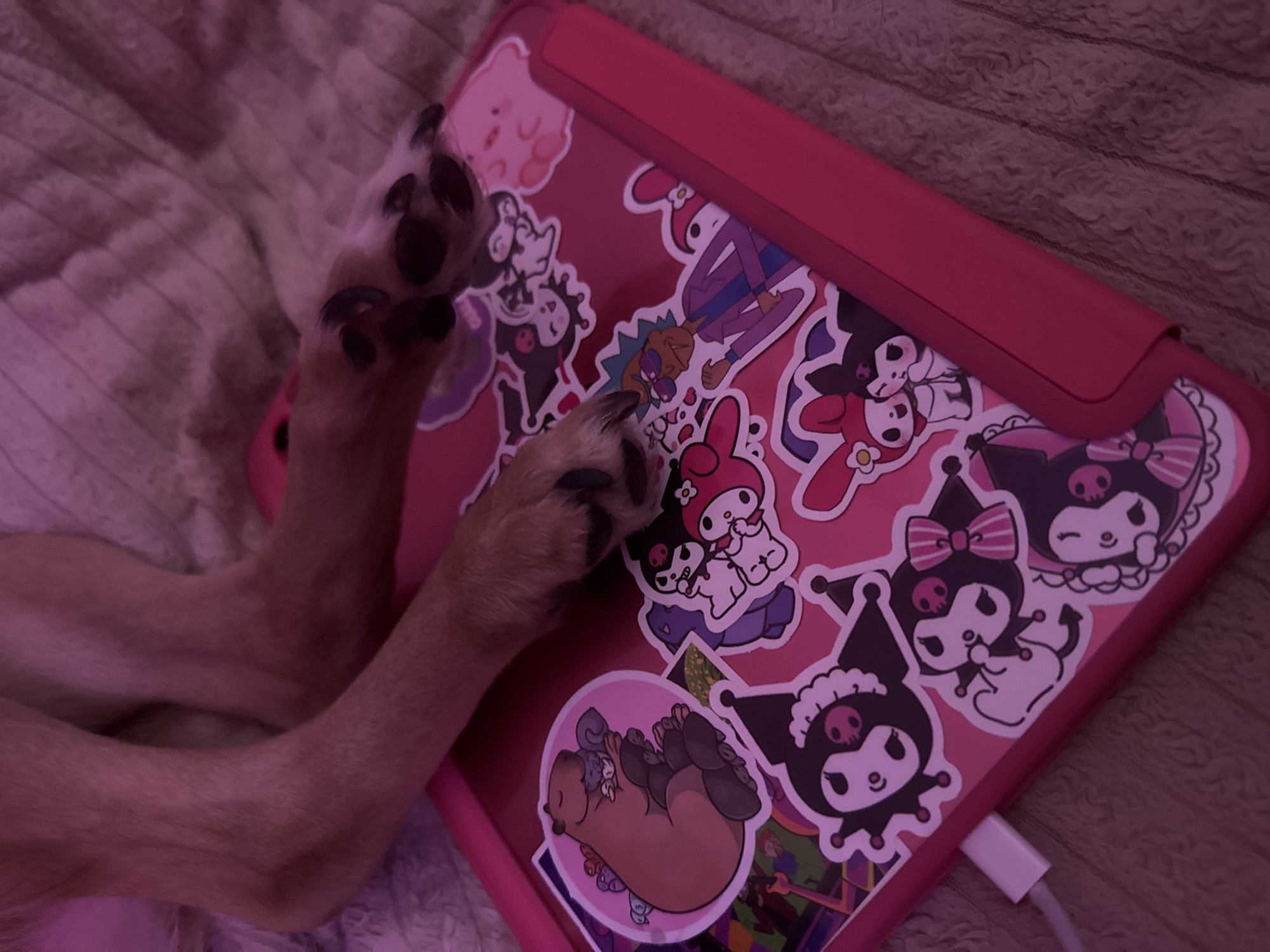 In Pudomyagi, Russia, a close-up shot shows the front paws of a dog resting on a pink tablet case adorned with various stickers. The stickers feature cartoon characters, including My Melody, Kuromi, and what appears to be a capybara. The tablet is lying on a textured, light-colored surface, possibly a blanket or rug, under soft pink lighting. The dog's legs are visible at the top of the frame, extending from the left side. A white charging cable is plugged into the bottom left corner of the tablet.