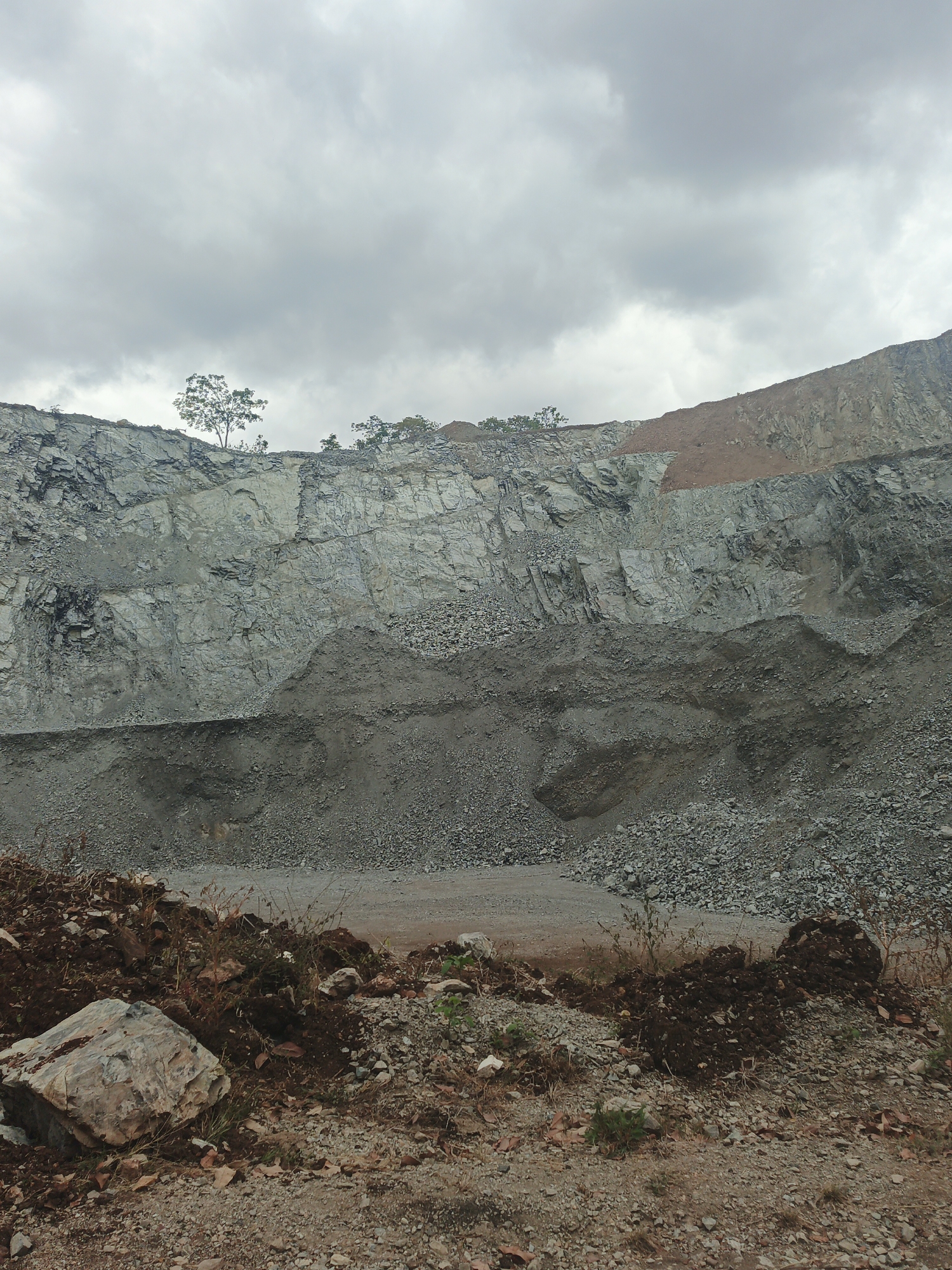 The image depicts a quarry in Tinaquillo, Venezuela. The quarry walls are terraced and made of gray rock. Some small trees are growing on the top ledge of the quarry. In the foreground, there is a dirt and gravel ground with scattered rocks and sparse vegetation. The sky is overcast. No people are visible.