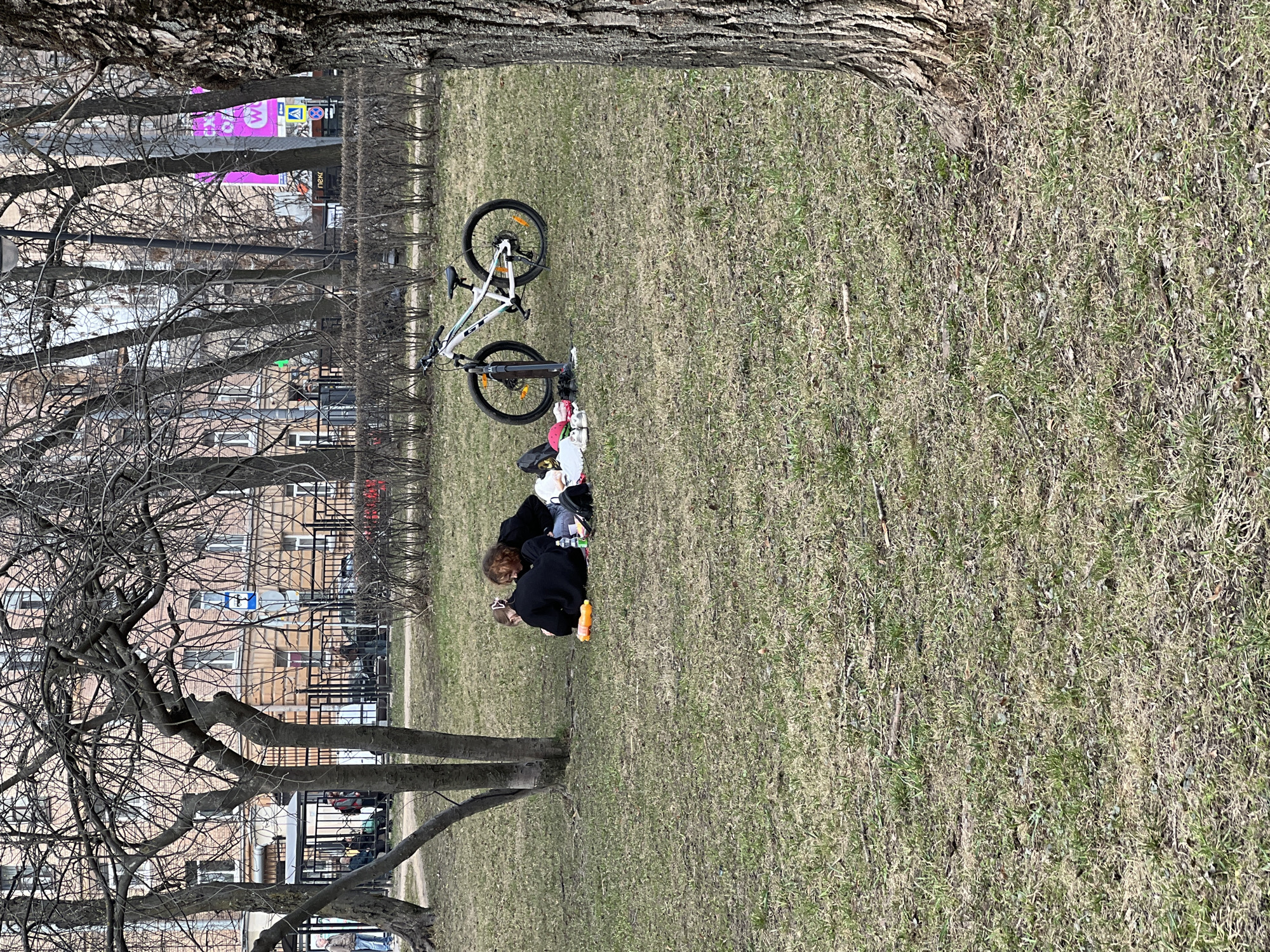 The image depicts a scene in what appears to be a park or green space in Saint Petersburg, Russia. The ground is covered with grass, sparse in some areas. Two trees frame the top and left of the image, with bare branches.
A white bicycle lies on the grass, near two individuals kneeling on the ground. The individuals appear to be interacting with items scattered around them, including what looks like bags and other personal belongings. They are located between a tree and the bike.
In the background, through the trees, are buildings with architecture typical of Saint Petersburg. A tall black fence is visible behind the trees, with some people sitting behind it.