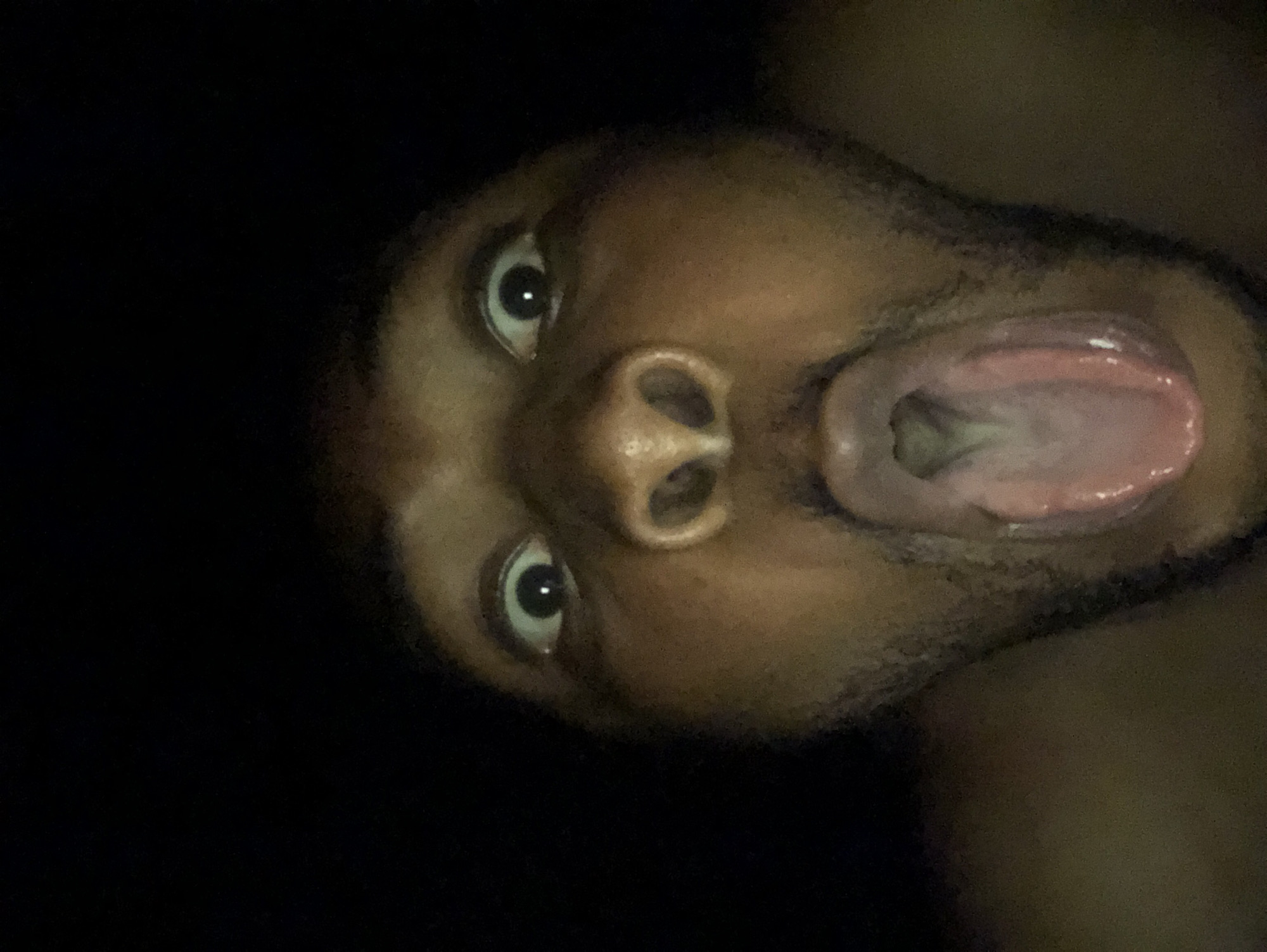 A low-angle, close-up photograph captures a person's face with their mouth open and tongue extended. The person has dark skin, dark hair, and visible facial hair. The background is dark and largely undefined. The location and city are unknown.