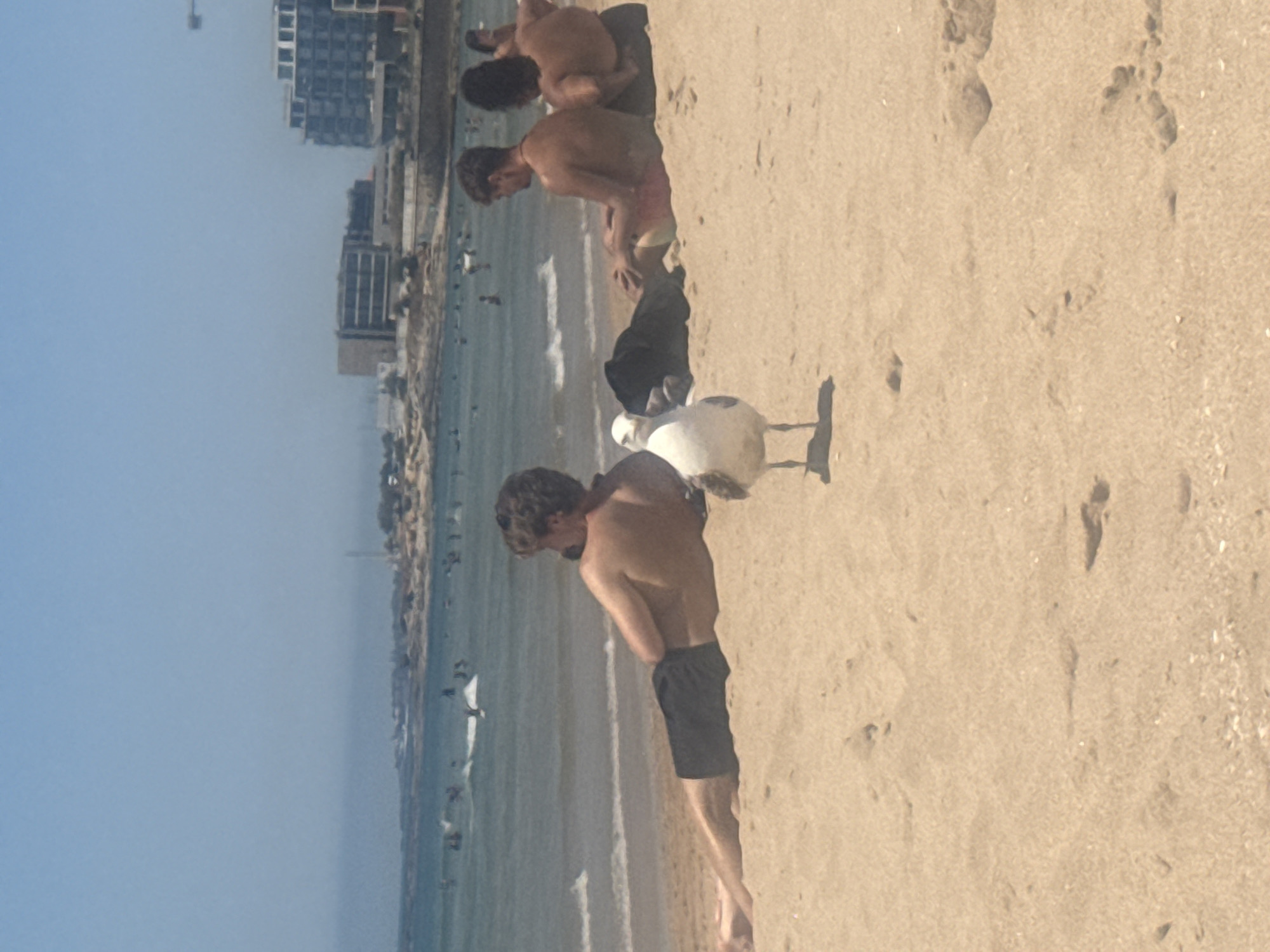 The image shows a beach scene in Cascais, Portugal, under a clear blue sky. In the foreground, a seagull stands on the sand, facing left. Behind it, two men are sitting on the sand, facing away from the camera, with the ocean and distant buildings in the background. The man on the left is wearing black swim trunks and is lying on his side. The man to his right is wearing patterned swim trunks and is sitting upright. A black bag is also visible on the sand between them. The ocean is calm with small waves, and several people can be seen in the water. In the distance, there are buildings and a tower on the coastline. The sand is light brown with some footprints.