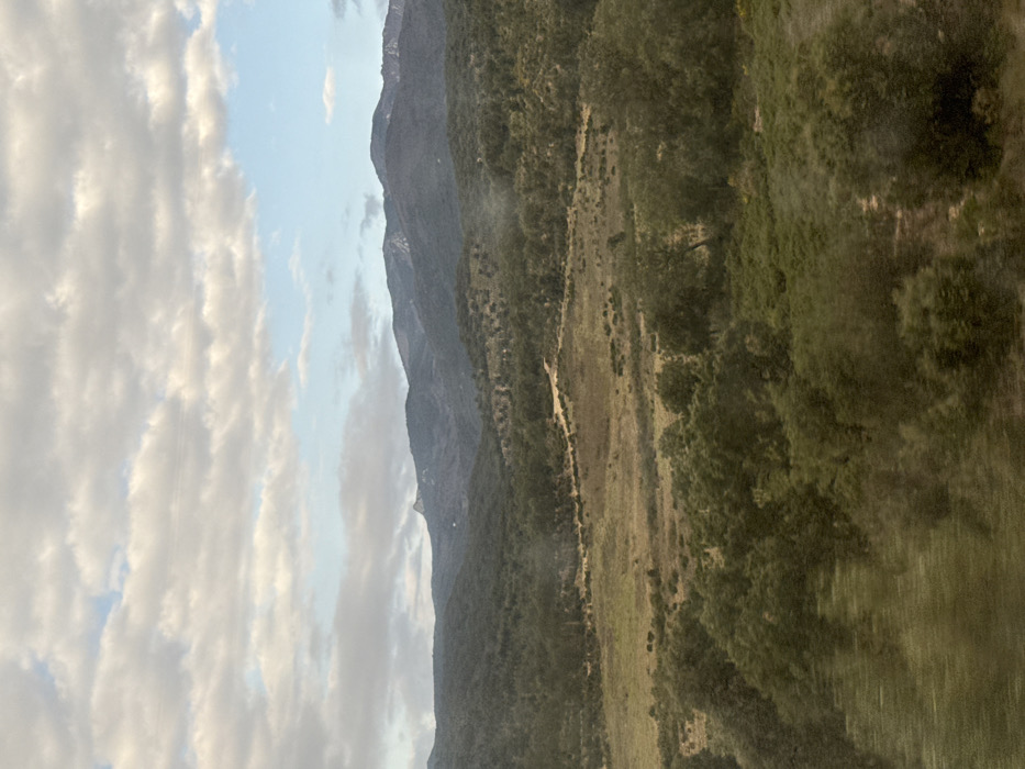 The image captures an expansive, natural landscape under a partially clouded sky, viewed from an elevated perspective. The upper third of the frame shows a light blue sky with scattered, primarily white and grey stratocumulus clouds. In the background, a range of dark, undulating mountains with visible rocky formations extends across the horizon. The mid-ground features a wide valley or plain comprising a mosaic of dry, light-brown and yellowish vegetation, interspersed with clusters of darker green trees and scrubland. A prominent, light-colored dirt track traverses this terrain from left to right, exhibiting a winding path. The immediate foreground is dominated by dense, dark green foliage and tree canopies, which display significant horizontal motion blur along the bottom edge, consistent with being photographed from a moving vehicle. No individuals, animals, or specific man-made structures are discernible within the visible areas. This scene is consistent with the hilly, vegetated terrain found in the vicinity of La Jonquera, Spain.