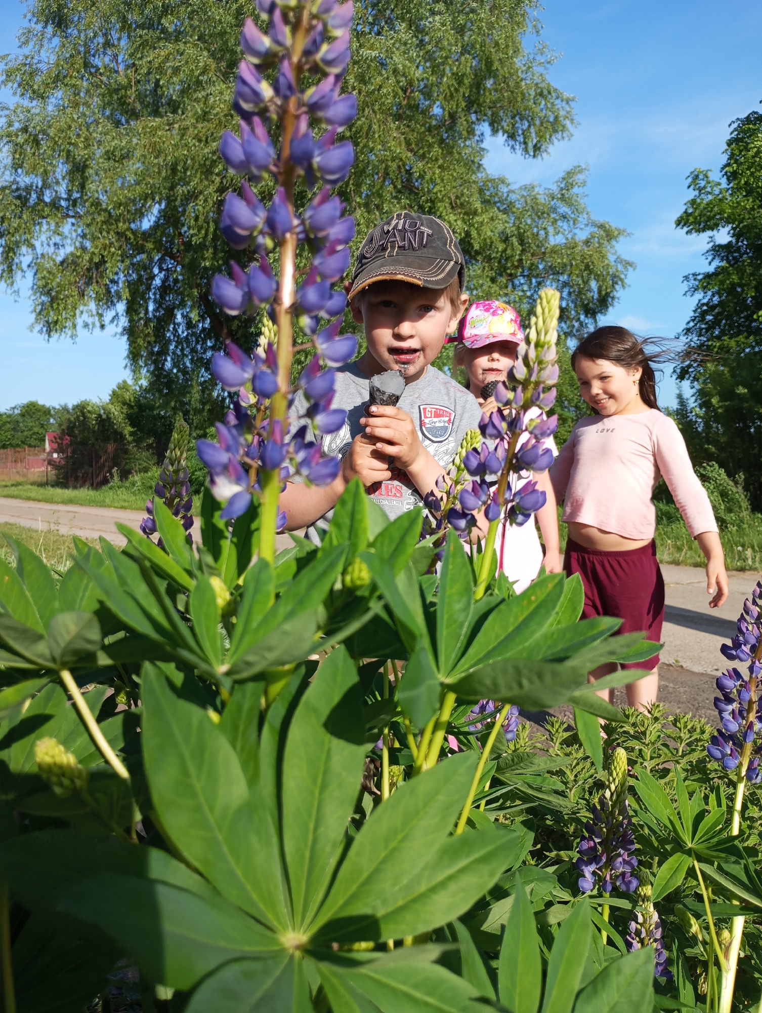 Three children stand behind a patch of blooming lupines in an outdoor setting, likely in Буренка, Russia. The boy in the front wears a gray T-shirt, a dark baseball cap, and has something dark near his mouth. A girl in a pink hat and white top stands behind him, also holding a lupine stem. To their right, a girl in a pink shirt and maroon shorts smiles. Lupines with green leaves and purple flowers fill the foreground. In the background, trees, a blue sky, and part of a building or fence are visible.