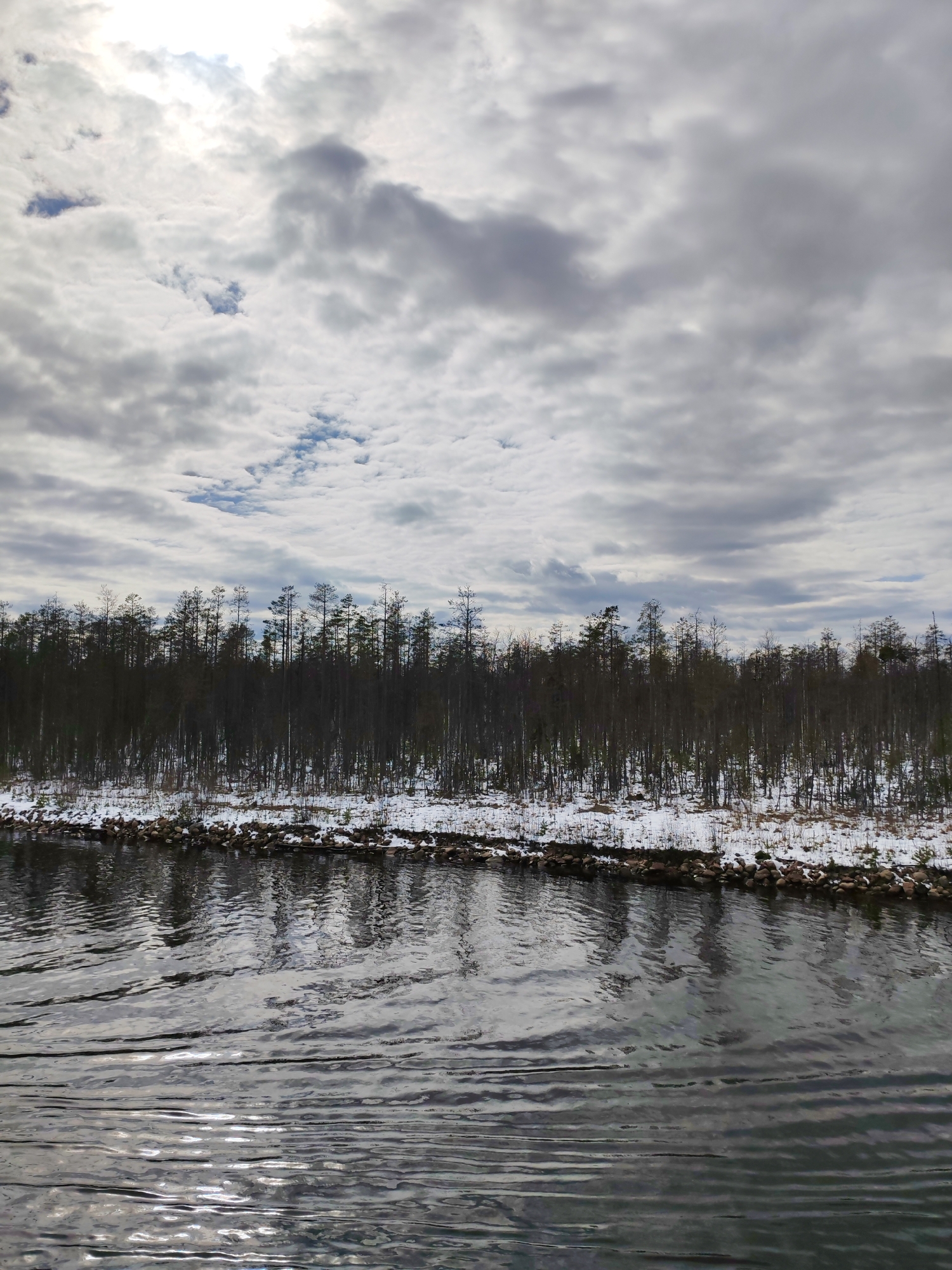 This outdoor shot captures a tranquil winter landscape in Kurdiug, Russia. The image features a wide body of dark water in the foreground, likely a river or canal, its surface covered in ripples that reflect the cloudy sky and show bright glints of sunlight. A narrow, snow-dusted shoreline runs along the water's edge, dotted with dark rocks and sparse vegetation. Behind this, a dense line of tall, slender trees, appearing mostly bare or with minimal foliage, stretches across the middle ground, their dark silhouettes contrasting with the muted tones of the sky. The sky is predominantly overcast with various shades of gray and white clouds, but patches of bright light indicate the sun breaking through, especially in the upper left quadrant. Small glimpses of blue sky are also visible through some cloud breaks. The scene appears still and peaceful, characteristic of a cold, winter day. No people, animals, or visible text are present.