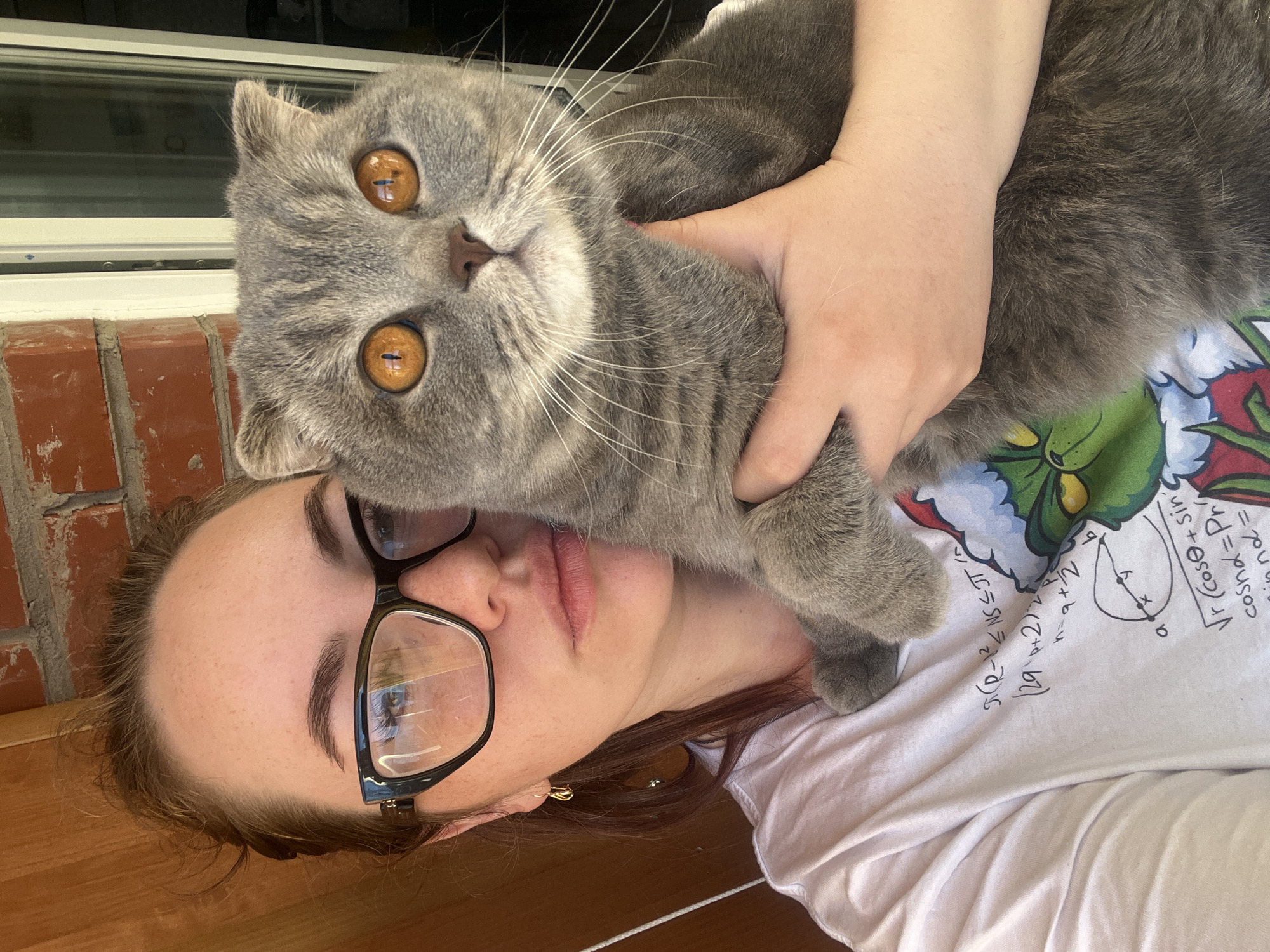The image captures a close-up portrait of a young woman holding a grey cat, likely taken in Chaikovsky, Russia. The woman appears to be lying down, with her head positioned to the left side of the frame. She wears black-rimmed glasses and a white t-shirt, showing a neutral, relaxed expression. Her light brown hair frames her face.
The central subject is a striking grey, short-haired cat, possibly a British Shorthair, which the woman cradles against her chest and face. The cat has prominent, large, bright orange eyes that gaze directly at the camera, giving it an attentive and engaging expression. Its whiskers are long and visible.
The background elements are partially obscured but include a brick wall and a window on the left, suggesting an indoor or sheltered outdoor setting. A wooden surface is visible beneath the woman's head. The woman's white t-shirt features printed designs, including a colorful, cartoonish green character (reminiscent of the Grinch) and handwritten mathematical formulas and diagrams. Visible text from the shirt includes expressions like "Vr (cosθ + sin", "cosnα = Pr", "sin nα =", "π(R-r)² <= πR J", "(2q + 2)", and "n=q+2". The word "PENSIT" is also discernible. The natural lighting suggests it is daytime.
