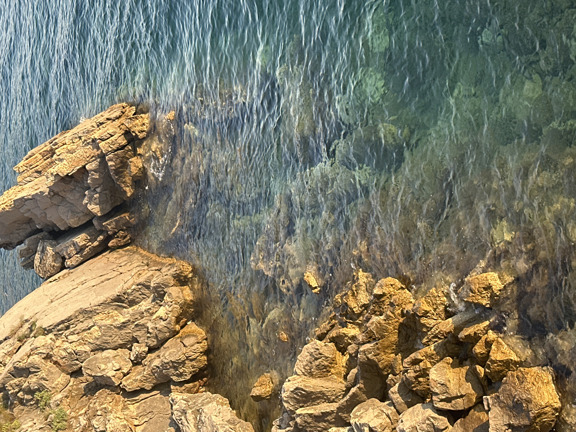 The image shows a rocky shoreline along the Adriatic Sea in Budva, Montenegro. Large, rugged rocks, illuminated by warm, golden sunlight, dominate the left side of the frame. The rocks are weathered and appear to be part of a coastal cliff. The clear turquoise water laps gently against the rocks, revealing submerged stones and the seabed. The water's surface is rippled, catching the sunlight and creating a shimmering effect. In the distance, the deeper sea is a rich blue-green color. The overall scene depicts a natural coastal landscape bathed in the soft light of either sunrise or sunset. There are no people or man-made structures visible in the image.