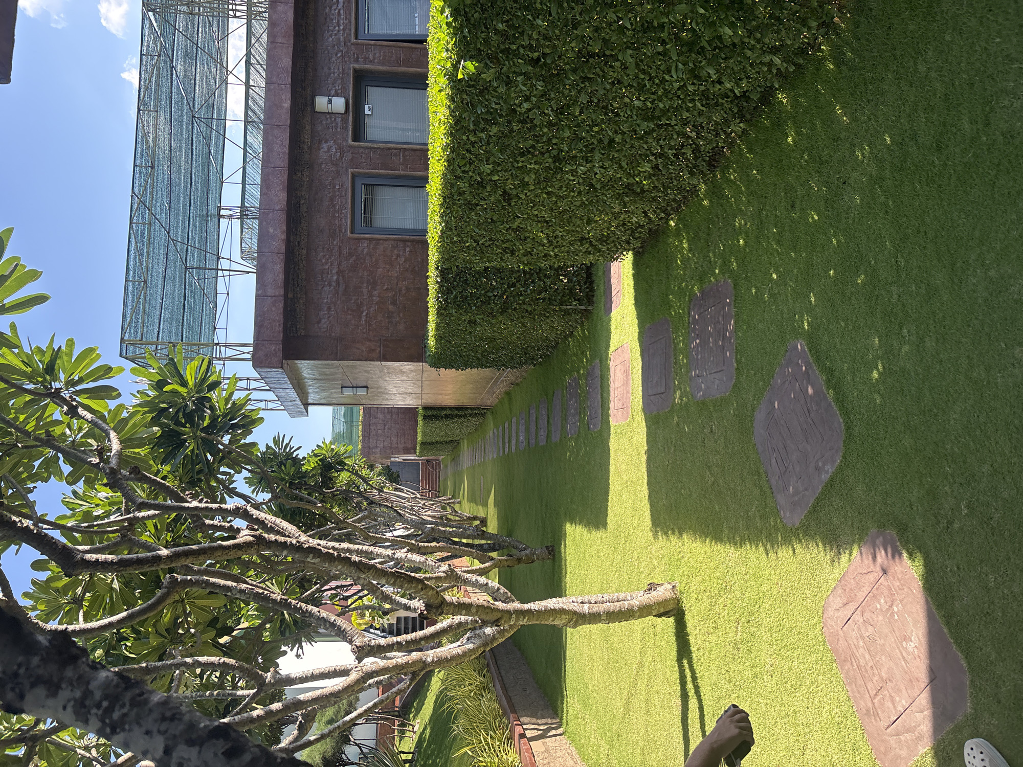 The image depicts an outdoor scene, likely a garden or landscaped area, in Bac Nha Trang Ward, Vietnam. A two-story building with a textured brown facade is visible, its architectural style modern. A large, meticulously trimmed hedge runs along the length of the building, separating it from a green lawn. A pathway of square pavers is embedded in the grass, creating a walkway. A tree with pale, gnarled branches and green leaves dominates the foreground. A tall, metal structure with mesh netting stands to the left of the building, potentially for shade or construction purposes. A hand holding a camera is present. The sky is blue and the weather appears sunny.