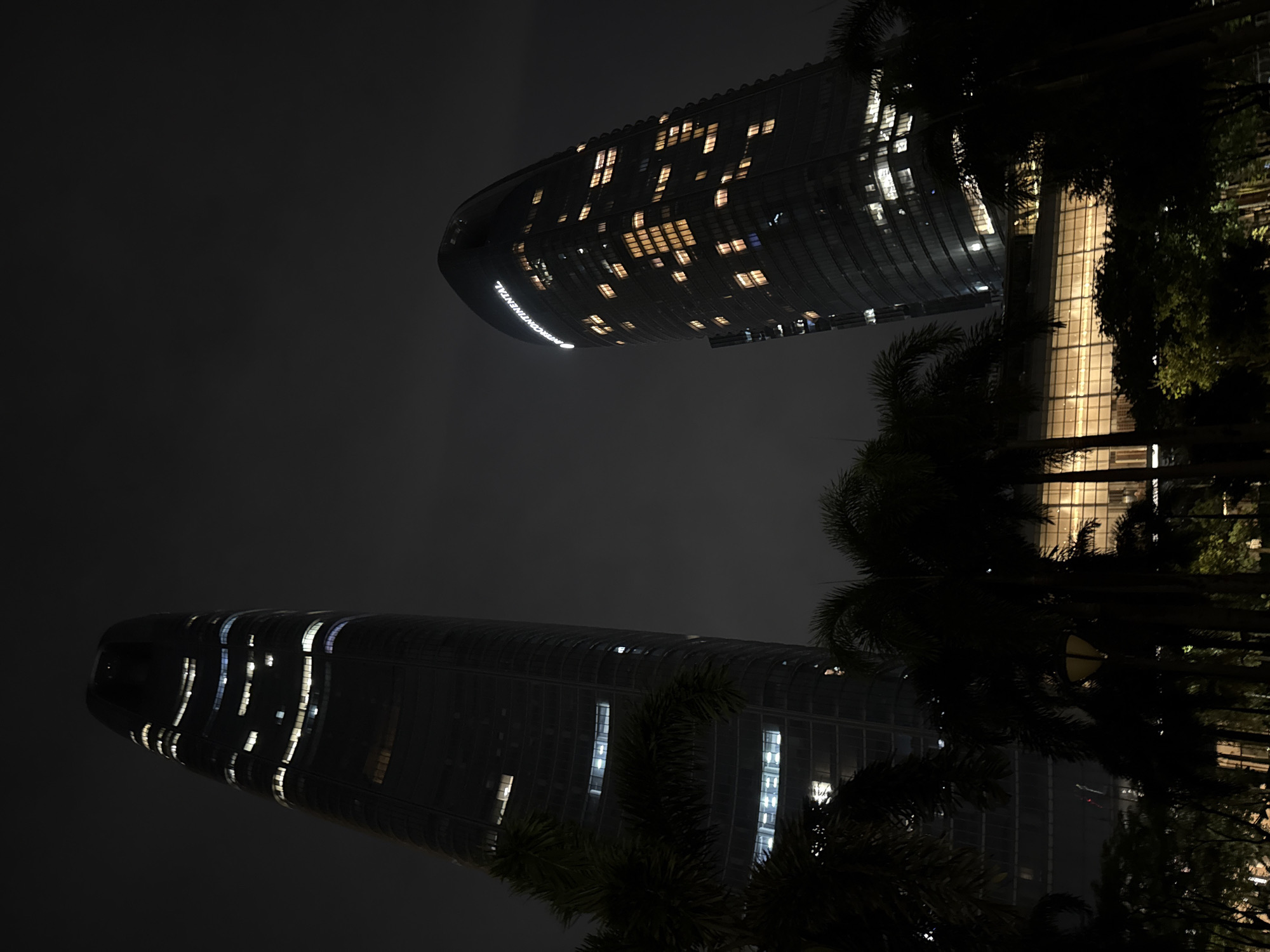 The image captures a nighttime view of two modern skyscrapers in the Haizhu District of China. The buildings are tall and sleek, with curved facades that reflect the ambient light. Numerous windows are illuminated, suggesting that the buildings are occupied. One skyscraper, in the upper portion of the frame, features the illuminated text "INTERCONTINENTAL" along its curved edge. The scene is framed by dark silhouettes of palm trees, their fronds adding a natural element to the urban landscape. The sky is dark and appears overcast, contributing to the moody, nocturnal atmosphere. The lighting suggests it is nighttime, possibly late evening or early morning, with artificial lights from the buildings and streetlights providing illumination. The overall impression is one of a vibrant, modern city at night, with towering structures and lush vegetation coexisting.
