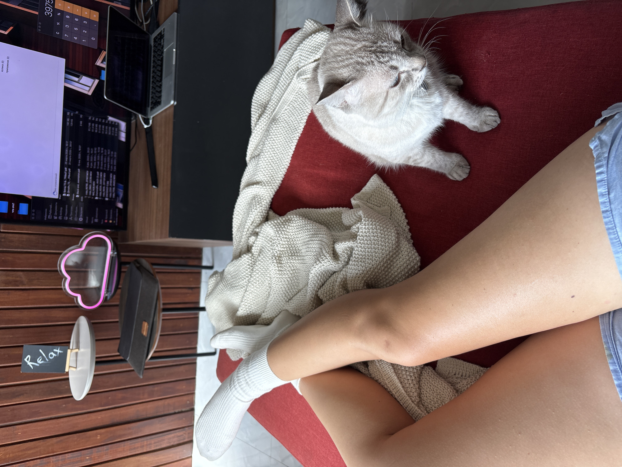 A person's legs, clad in white socks and denim shorts, are visible in the foreground, resting on a red couch. A light-colored knit blanket drapes over the couch and the person's legs, partially covering a light grey cat with distinctive dark markings on its face and ears, which is sleeping soundly. To the left, a wooden slatted surface holds several objects: a pink cloud-shaped neon light, a black wallet with a gold accent, and a small black sign with the word "Relax" written in white chalk. In the background, a laptop is open, and a large monitor displays a file directory, suggesting a home office or study space. The scene appears to be indoors, with the lighting suggesting daytime.