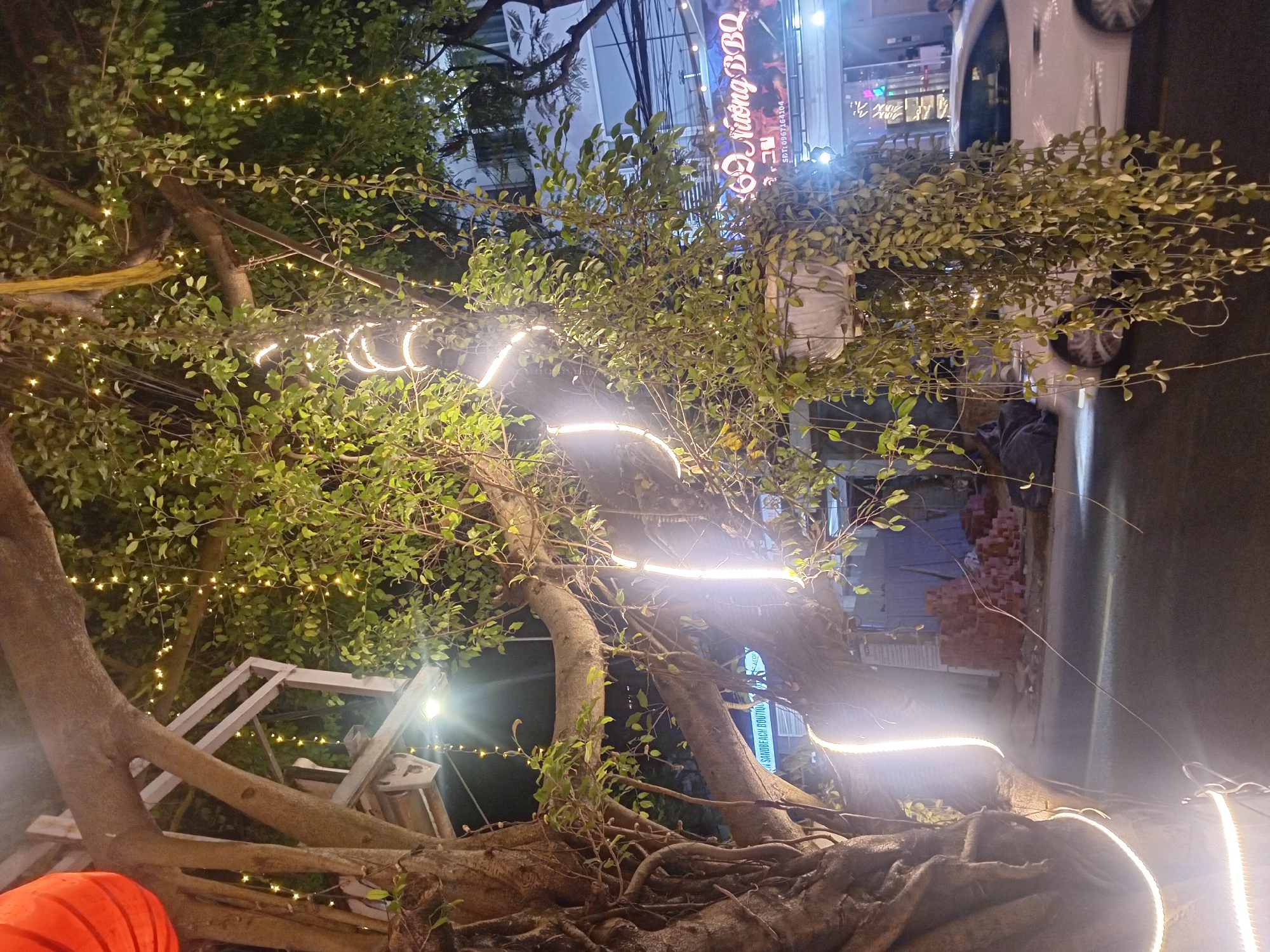 The image captures a nighttime street scene in Da Nang, Vietnam, likely in a commercial area. The focal point is a large tree with exposed, gnarled roots, decorated with numerous strings of warm white fairy lights and some brighter LED strips. These lights illuminate the tree and its surrounding foliage, creating a festive and inviting atmosphere.
In the background, a white car is parked, partially visible. Adjacent to the car is a building with illuminated signage. One sign is particularly noticeable, displaying text in Vietnamese. It reads "69 Nướng BBQ" (69 BBQ Grill) and also includes a phone number "SDT: 0967164104". The building also has windows and other architectural features typical of an urban setting. The overall impression is that of a lively street, possibly near a restaurant or shop, where people are gathering or passing by, enjoying the evening ambiance. The time of day is clearly night, indicated by the artificial lighting and the darkness of the sky. No specific weather conditions are apparent, but the scene suggests a calm evening. The prominent use of decorative lights implies an occasion or simply an effort to enhance the visual appeal of the establishment.