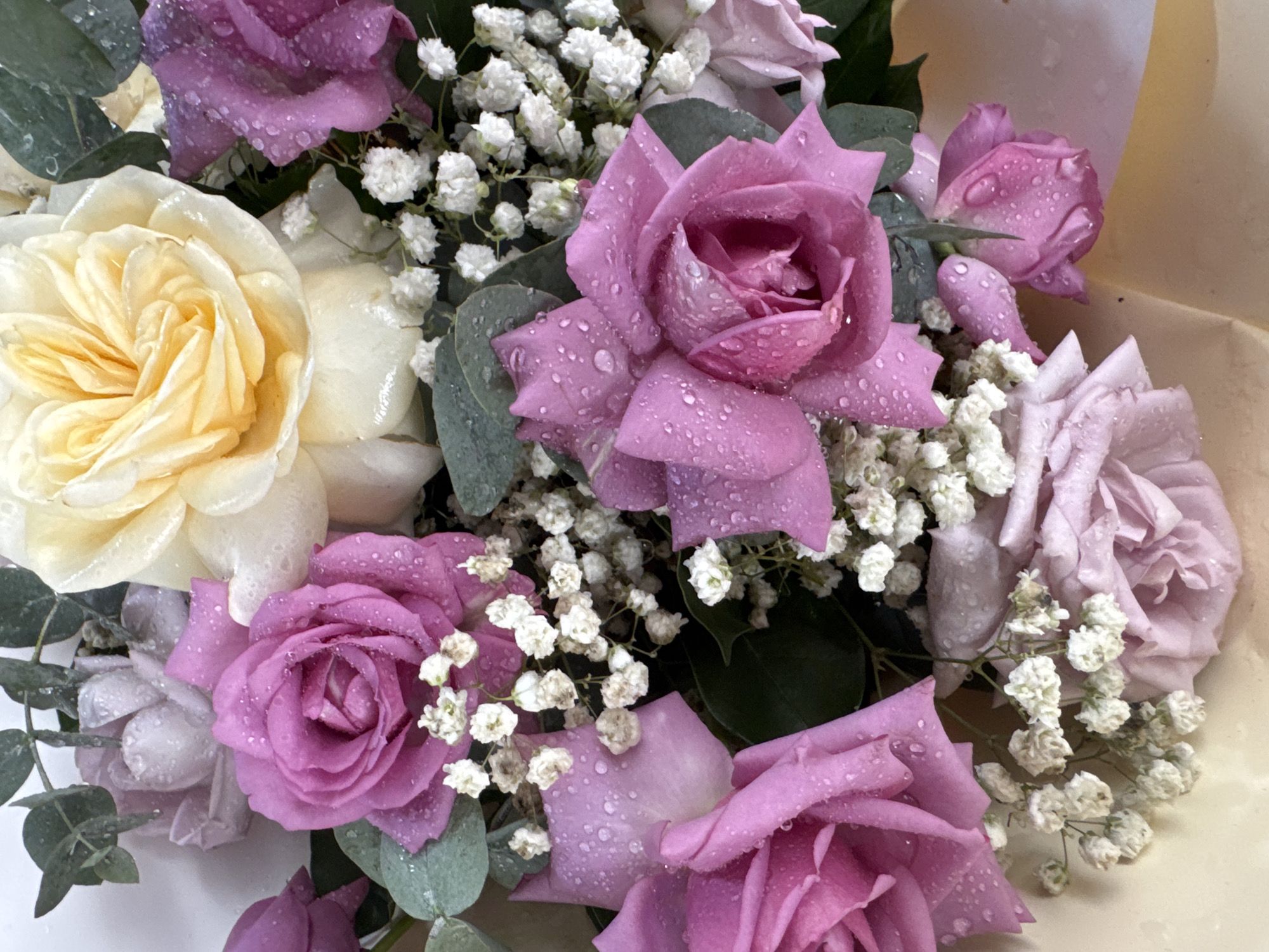 The image shows a close-up, top-down view of a bouquet of roses. The roses are of various shades of pink, purple, and yellow. Many of the rose petals are covered in water droplets, suggesting they have been recently misted or watered. Interspersed with the roses are clusters of small, white flowers, possibly baby's breath, and some green eucalyptus leaves. The background is a soft, muted light color, possibly a table or fabric. There are no people, actions, or specific environmental details that would allow for identification of a location in Nha Trang, Vietnam. The scene is solely focused on the floral arrangement.