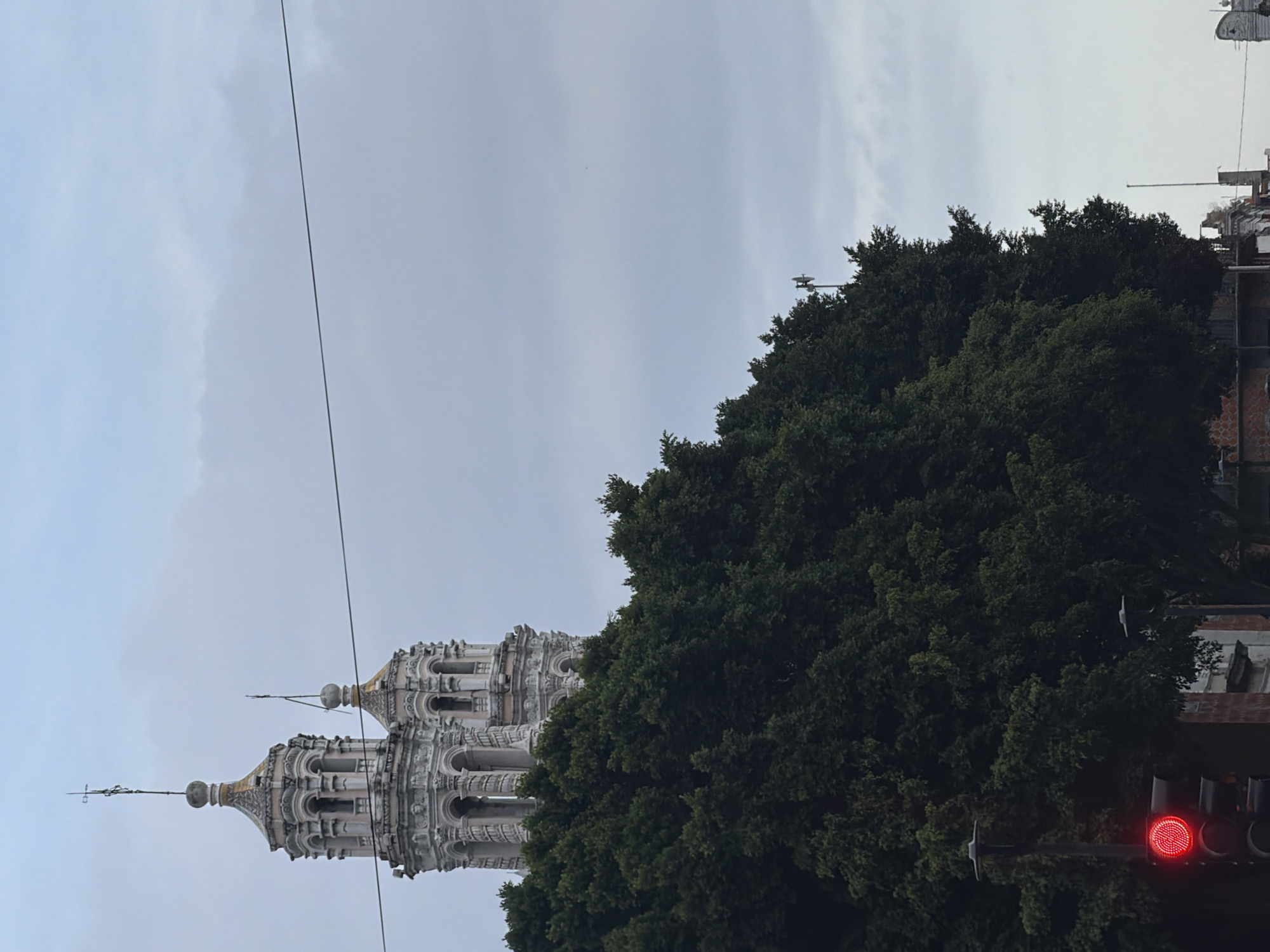 A vertical shot captures two ornate, light-colored church towers partially obscured by lush, dark green trees. The towers, likely Baroque or Neoclassical in style, feature intricate detailing, multiple arched levels, and domed tops crowned with spires and finials. The dense foliage of the trees fills the right side and lower portion of the frame, revealing only parts of the church's structure on the left. Overhead utility wires stretch across the cloudy, light grey sky. In the lower right corner, partially hidden by the trees, a red traffic light is visible. The scene depicts an urban setting, consistent with its location in Puebla, Mexico, under an overcast sky during daylight hours. No activity or visible text is present.
