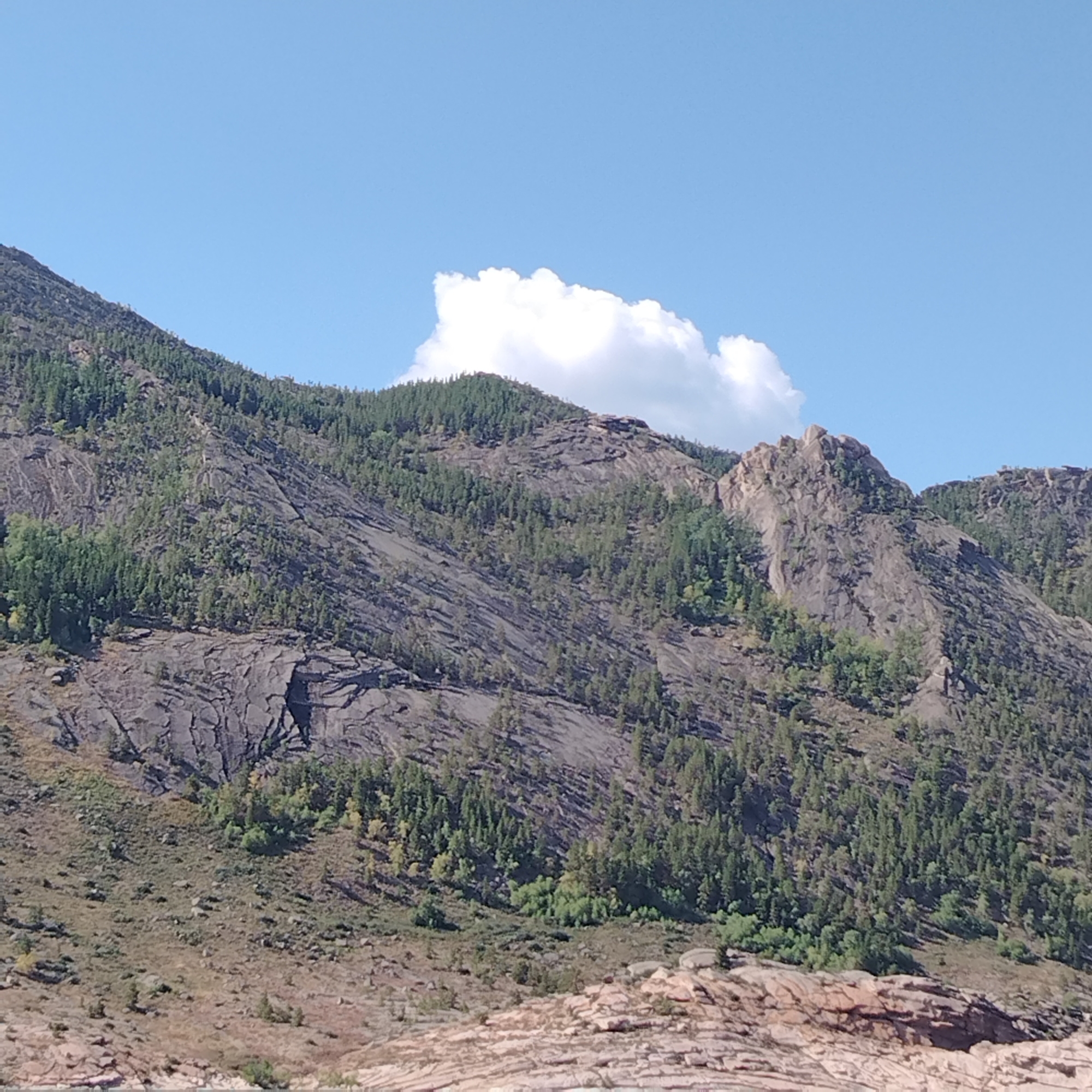 The image displays a mountainous landscape under a clear blue sky with a single, puffy white cloud. The mountains are covered in dense green pine trees, particularly on the slopes. Large, dark rock formations are visible, with visible cracks and striations, indicating a geological history of erosion and uplift. The terrain is rugged, with sparse vegetation on the lower, rocky areas. There are no people or man-made structures visible in the scene. The image appears to be a natural landscape, likely in a mountainous region. Based on the provided information, the location is in the city of Торайғыров, Kazakhstan.