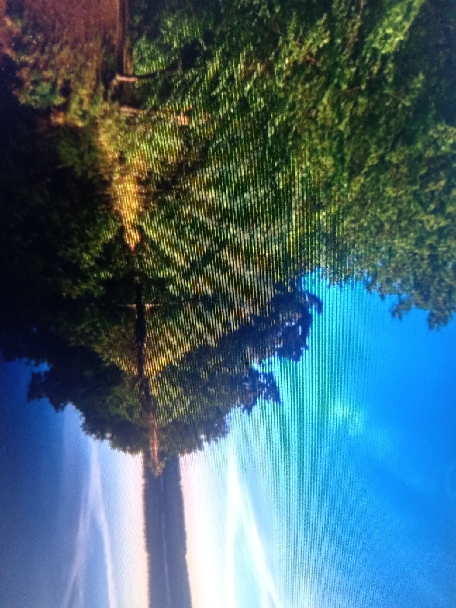 The image depicts a reflection of trees and sky in what appears to be a body of water. The trees are lush and green, with sunlight filtering through the leaves. The sky is a vibrant blue, with wispy white clouds. The reflection is clear and sharp, indicating calm water. The overall scene is serene and natural, suggesting an outdoor location like a park or a lakeside.