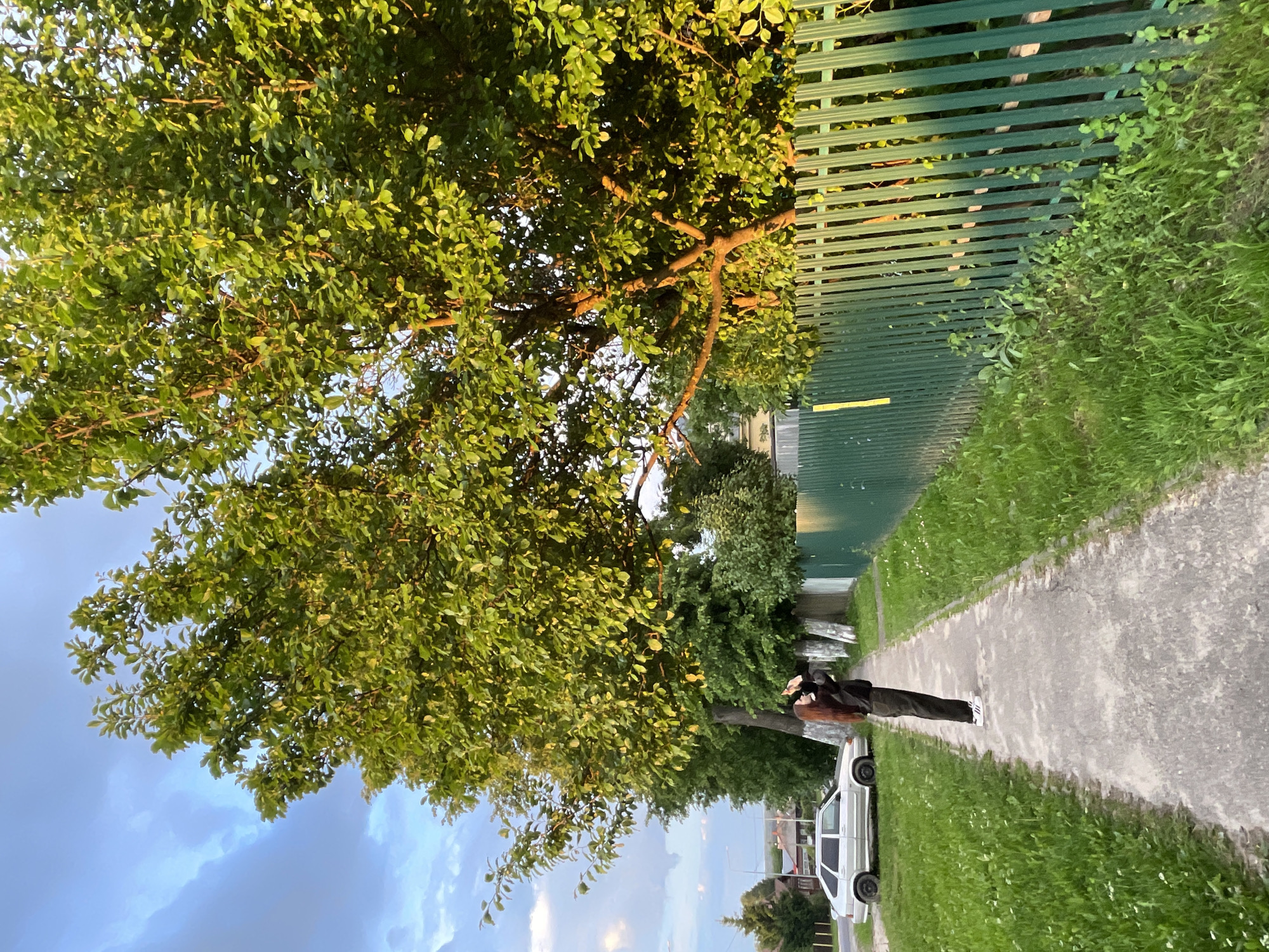 A young woman with long reddish-brown hair stands on a paved walkway, facing away from the camera, looking upwards. She is wearing dark pants and a dark top, with white shoes. She is positioned in the foreground, on a pathway that runs alongside a green metal fence and a grassy area. To the left of the walkway, a silver sedan is parked on the side of a road, with more grassy areas and trees in the background. The scene appears to be a residential street in Красные Баки, Russia, with trees, houses, and a clear sky with some clouds overhead. The lighting suggests it is late afternoon or early evening, with the sun casting a warm glow on the leaves of the trees.