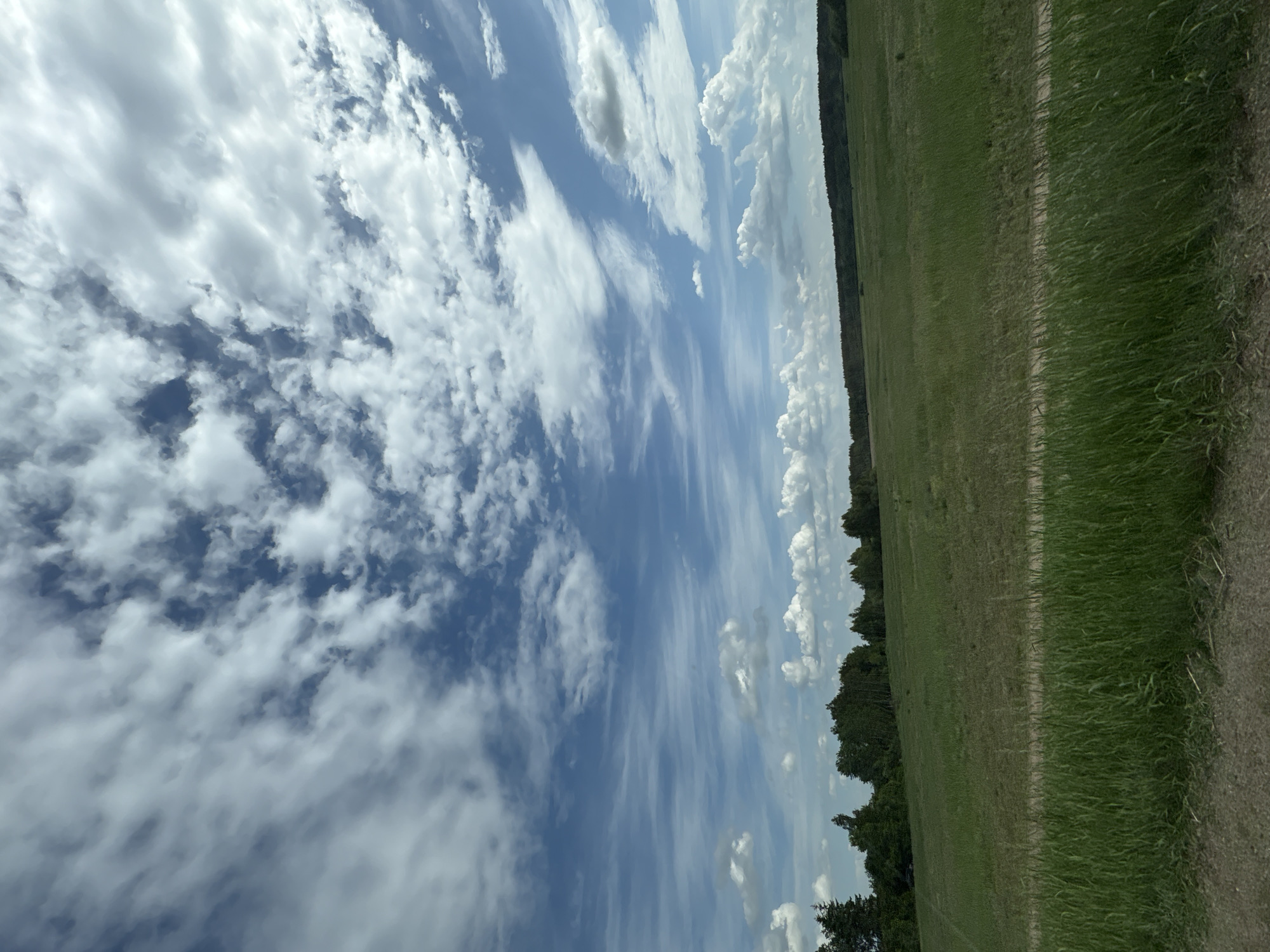 The image depicts a rural landscape in Голацкі сельскі Савет, Belarus. A wide, open field stretches across the frame, bordered by a dense line of trees along the horizon. The sky is predominantly blue, filled with scattered, wispy clouds. A dirt path runs along the right edge of the field. No people or animals are visible.