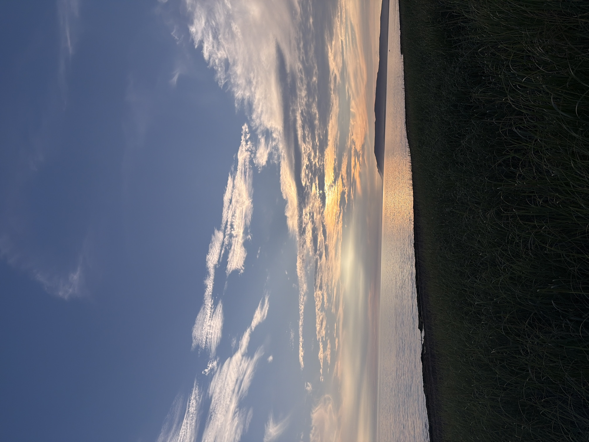 The image captures a serene sunset over a calm body of water, possibly a lake or sea, with a silhouette of a distant landmass on the horizon. The sky is a blend of deep blue at the top, transitioning into lighter shades of blue, pink, and orange as it nears the horizon, reflecting the warm hues of the setting sun. Wispy clouds are scattered across the sky, catching the last rays of sunlight. In the foreground, a dense field of dark green grass stretches across the lower portion of the frame, its blades creating a textured foreground. The water is smooth, with a shimmering reflection of the sky and the sun. The distant landmass appears as a dark, undulating shape against the colorful sky. The scene suggests a natural, tranquil environment. Given the prompt mentions Ozerskoe, Russia, this scene likely depicts a landscape found in that region, possibly a coastal or lakeside area during the evening hours. There are no people or visible man-made structures in the immediate foreground or on the distant landmass, contributing to the untouched, natural feel of the image.