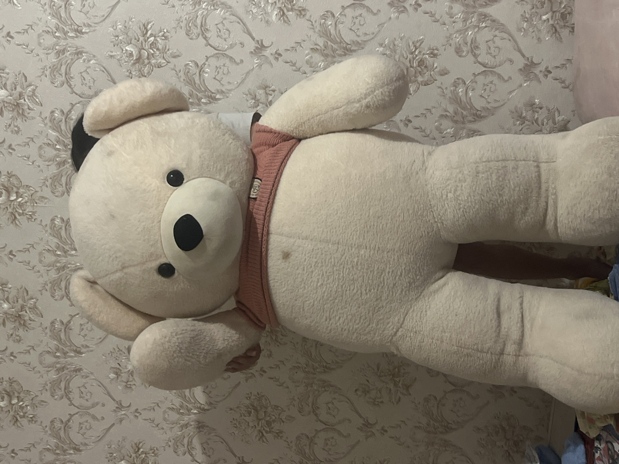 A large, cream-colored teddy bear stands upright against a patterned wallpaper background. The bear is wearing a light pink knitted sweater. Its left arm is raised, with the paw slightly tilted. A dark patch is visible on the top of its head, possibly a bow or a marking. The wallpaper features a floral and scroll design in shades of cream and beige. The lower portion of the image shows the bear's legs and feet, resting on a surface that appears to be a bed with some fabric or blankets. No specific location in Bishkek City, Kyrgyzstan, can be identified from the image.