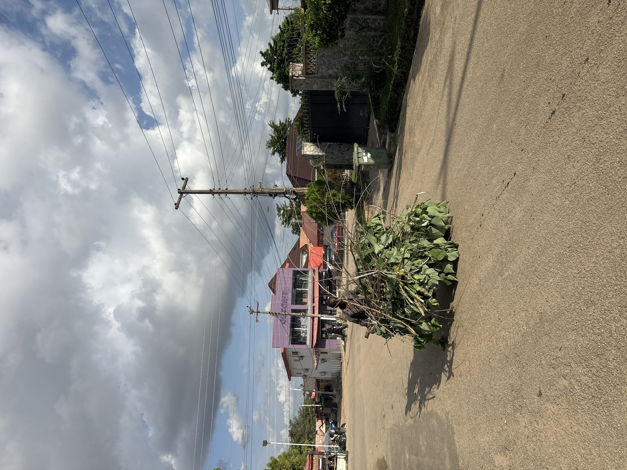 The image depicts a street scene in Abuja, Nigeria, with a focus on a pile of green foliage and branches on the right side of the paved road. In the background, a multi-story building with a purple facade stands prominently, featuring large glass windows and signage that appears to read "GIFT." Several other buildings, some with red roofs, line the street, suggesting a commercial or residential area. Utility poles with a network of electrical wires crisscross the sky, a common sight in urban environments. The sky is partly cloudy, with a mix of bright sunlight and darker clouds, indicating a dynamic weather condition, possibly transitioning towards or away from rain. The time of day appears to be daytime, given the shadows cast by the foliage and the general illumination. The presence of parked motorcycles and a visible trash bin near one of the buildings provides further context of the urban setting. The pile of vegetation suggests recent pruning or clearing of trees and bushes. The overall impression is that of an ordinary day in a bustling Nigerian city.