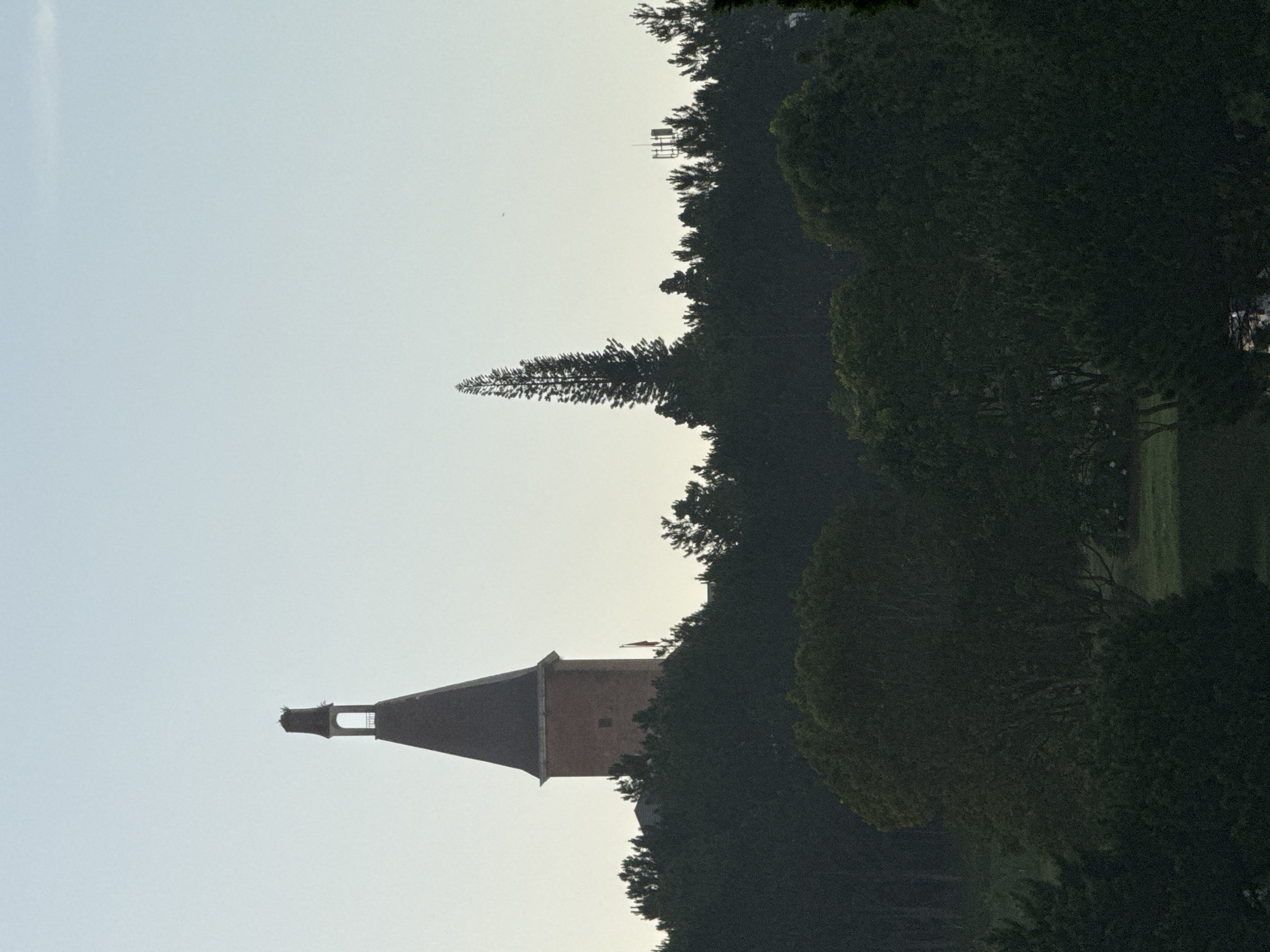 The image depicts a low-angle, wide shot of a picturesque landscape scene at dawn or dusk in Da Lat, Vietnam. The sky is a gradient of pale blue and white, suggesting the soft light of early morning or late evening. Dominating the left side of the frame is a distinctive brick tower with a dark, pointed roof. The tower has an arched opening near its peak. A small red flag is visible on a pole protruding from the tower's side. Surrounding the tower and extending across the middle ground is a dense, dark green canopy of pine trees, characteristic of Da Lat's mountainous terrain. To the right of the tower, a tall, slender pine tree stands out, its unique shape contrasting with the other trees. Further to the right, a telecommunications tower is visible amidst the trees, suggesting the presence of modern infrastructure within the natural landscape. The foreground consists of more dark green foliage, with hints of a grassy area peeking through. The overall atmosphere is serene and tranquil, capturing the natural beauty of Da Lat with its iconic architectural elements.