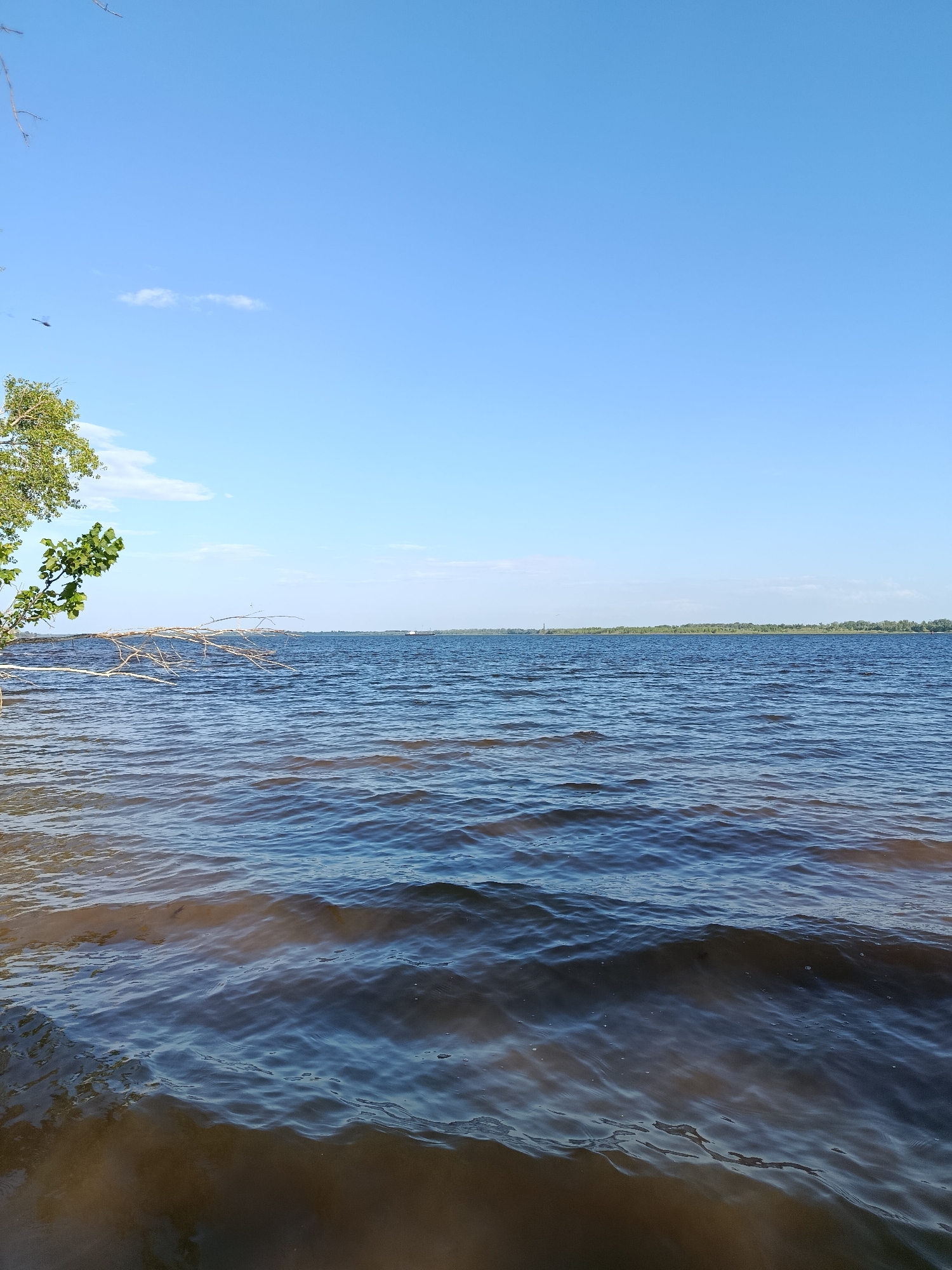The image shows a wide expanse of water under a clear blue sky with a few wispy clouds. The water is choppy, with small waves visible. In the foreground, the water is a murky brown, likely indicating shallow depth or sediment. Further out, the water transitions to a deeper blue. On the left side of the frame, a tree branch with green leaves extends over the water. In the distance, a thin line of green trees forms the horizon, suggesting a forested shoreline. A faint, distant structure, possibly a building or a boat, is visible on the horizon. The overall impression is of a calm, natural landscape on a sunny day. The location is Voskresensky District, Russia.
