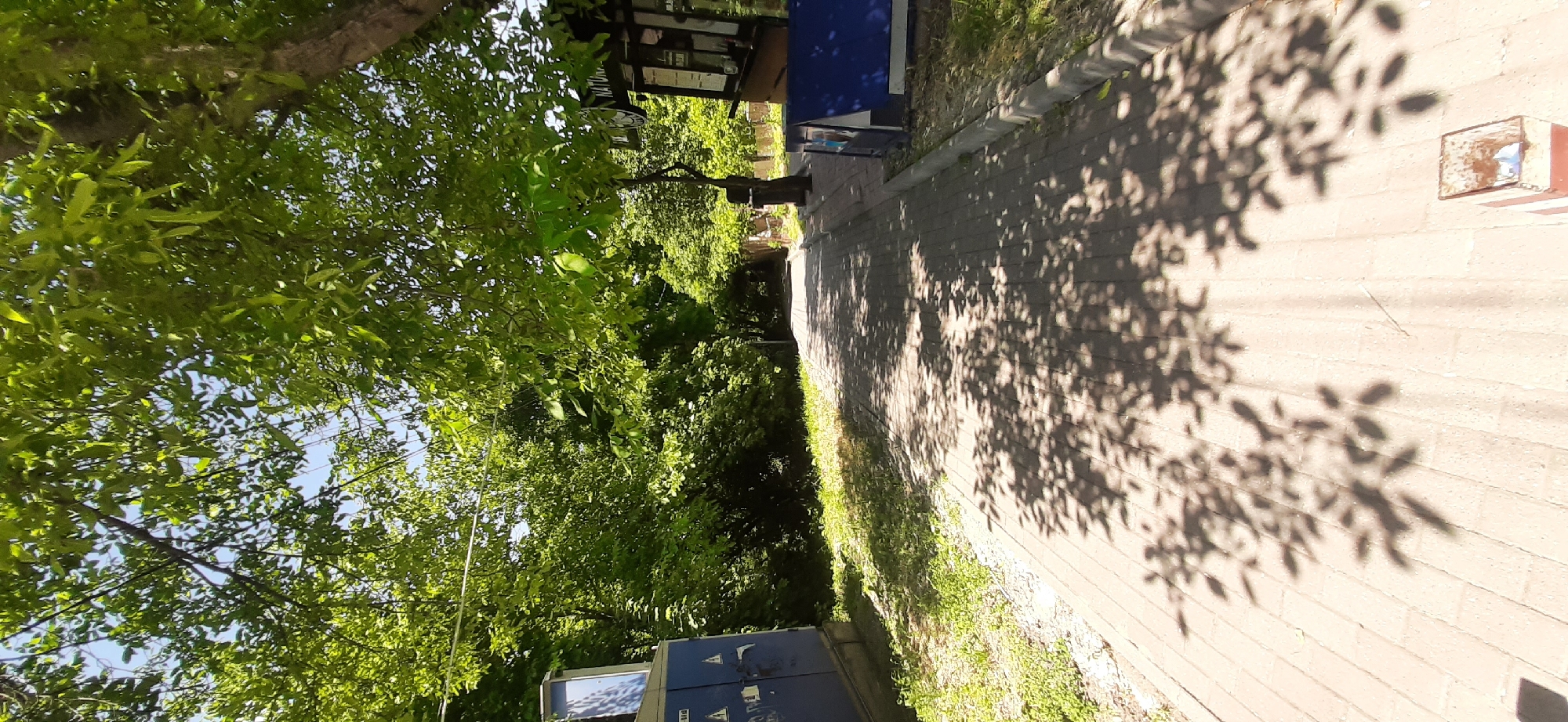 The image depicts a paved pathway leading into a wooded area. The pathway is lined with trees that cast dappled shadows across the bricks. On the left side of the pathway, there is a large blue electrical cabinet. On the right side of the pathway, a small kiosk with signage reading "NATUR" is visible, suggesting a natural or nature-related attraction. The scene appears to be outdoors, with lush green foliage and a clear sky overhead, indicating a daytime setting in a park or natural reserve. The location is identified as Yessentukskaya, Russia. There are no people visible in the image.