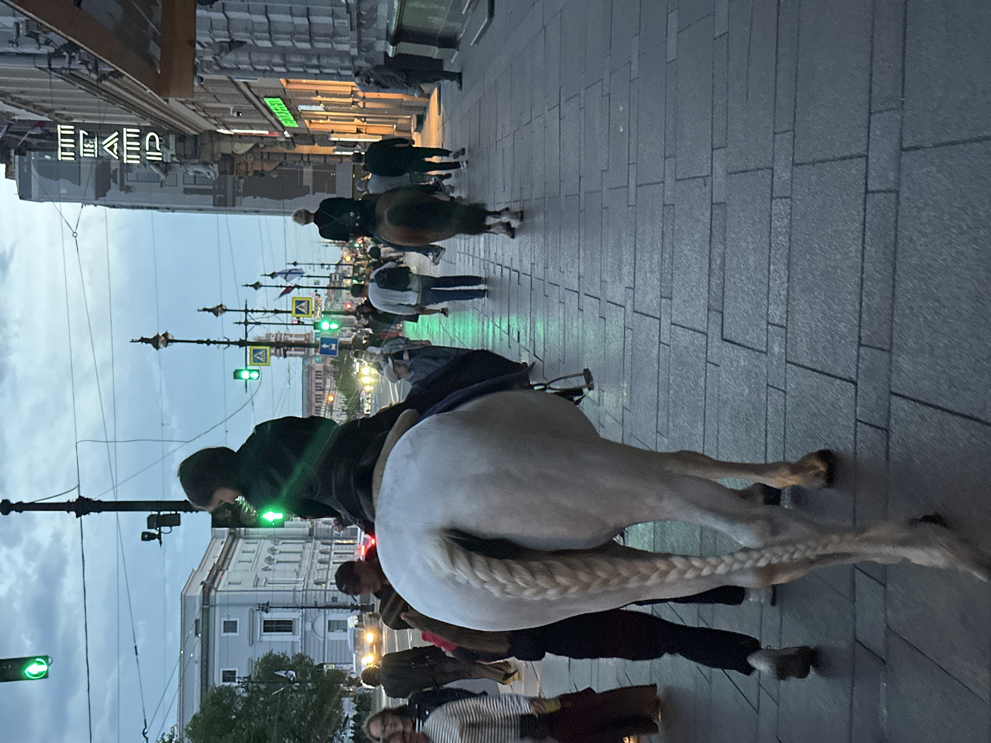 The image depicts a street scene in Saint Petersburg, Russia, likely during the evening or dusk. Two horses are prominently featured: a white horse in the foreground with its hindquarters and braided tail visible, and a brown horse further down the street. Both horses are being ridden by individuals wearing dark clothing.
A crowd of pedestrians is walking along the sidewalk. The sidewalk is paved with large, rectangular stones. Buildings line the right side of the street, with architectural details suggesting a historic European city. One building has a prominent illuminated sign with Cyrillic lettering. Traffic lights with green signals are visible in the background, along with streetlights. Cars are present on the street. The sky is overcast, contributing to the subdued lighting of the scene.