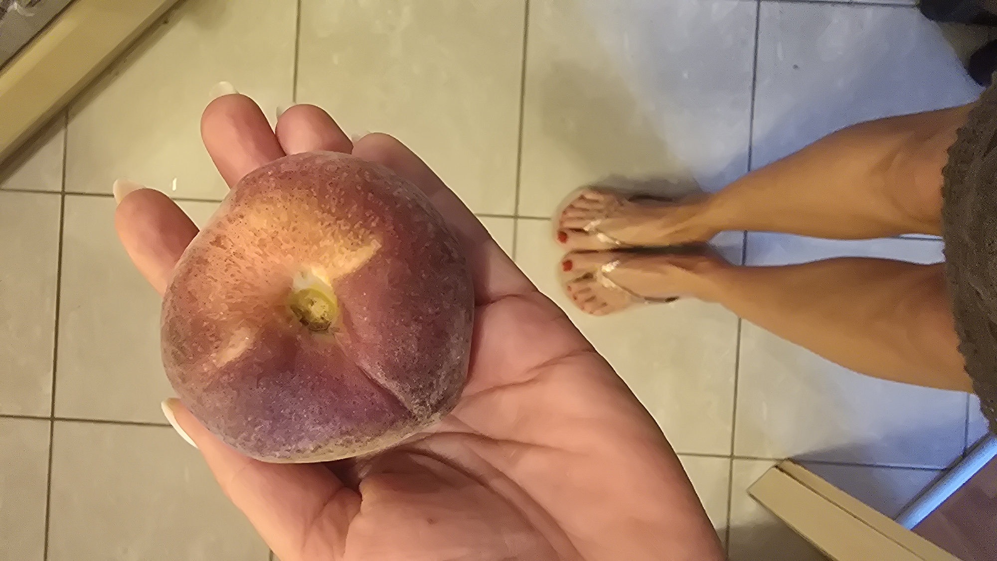 The image presents a first-person perspective of a person holding a flat-shaped peach in their hand, with their lower legs and feet visible in the background.
In the foreground, a right hand with long, neatly manicured nails (white-tipped) firmly holds a single donut peach. The peach exhibits a gradient of colors on its skin, ranging from reddish-purple to yellow-orange, with a distinct depression at its center where a small stem or remnant of the blossom end is visible.
In the background, positioned to the right, are the person's lower legs and feet. The legs appear tanned and well-defined, suggesting muscularity. The feet are adorned with bright red nail polish on the toenails and are wearing simple, light-colored thong sandals or flip-flops. A dark-colored fabric, possibly part of shorts or a skirt, is visible around the upper right leg.
The setting appears to be indoors, indicated by the light-colored, square tiled floor with dark grout lines. Partial views of what might be furniture or room fixtures, such as a light-colored surface in the upper left and a metallic or light-colored frame in the bottom right, further confirm an indoor environment.
The activity depicted is simply holding the fruit, perhaps after selecting it or preparing to eat it. There is no visible text in the image. The lighting is even, suggesting a well-lit indoor space, but no specific time of day can be determined. The overall impression is a casual, domestic moment.