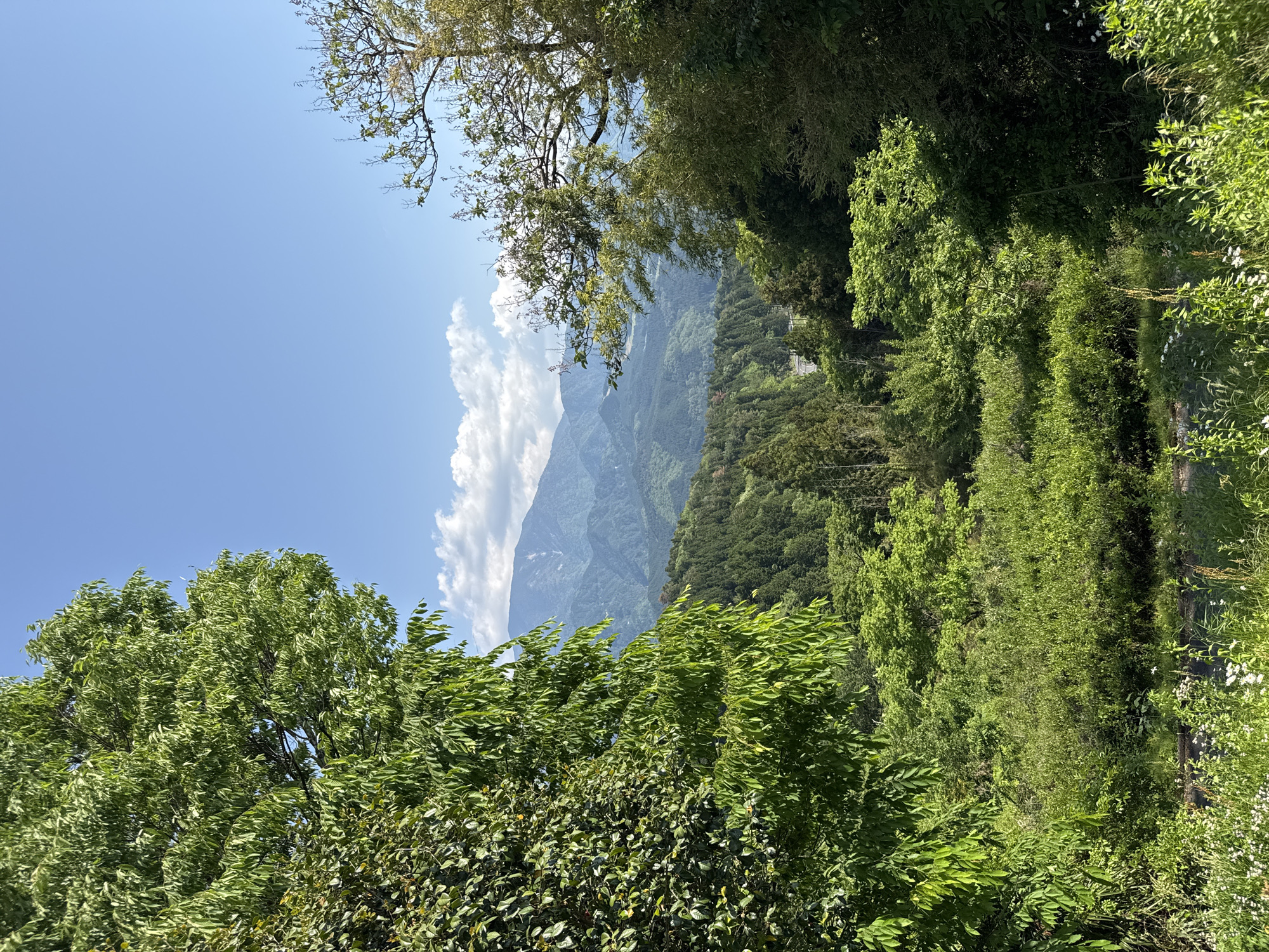 The image is a slightly angled, daylight landscape view from a high vantage point in Nakatsugawa, Japan. The foreground consists of lush, green foliage of various trees and shrubs, creating a dense, natural border. Through a gap in the trees, a distant mountain range is visible under a bright blue sky with scattered white clouds. The mountain has visible ridges and valleys, suggesting a natural, undeveloped area. The overall environment evokes a sense of natural beauty and a remote location within the city.