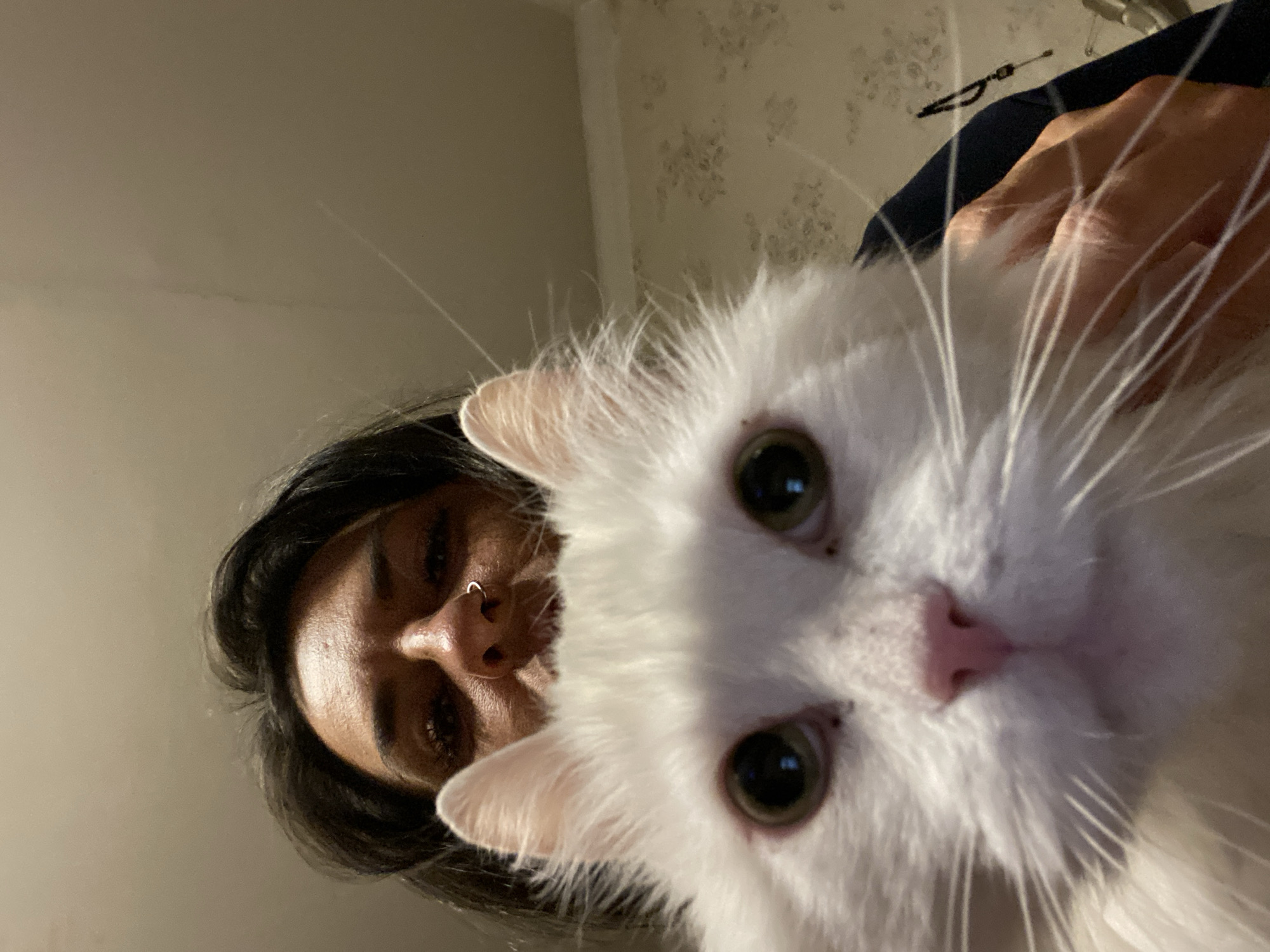 A close-up, low-angle shot shows a person and a white cat. The person, partially visible on the left, has dark hair and a nose ring. The cat is prominently displayed, taking up most of the frame, with its face close to the camera. The cat has white fur, green eyes, and pink nose. The background includes a wall with a pattern.
There is no information to place the image in the city of Khimki, Russia.