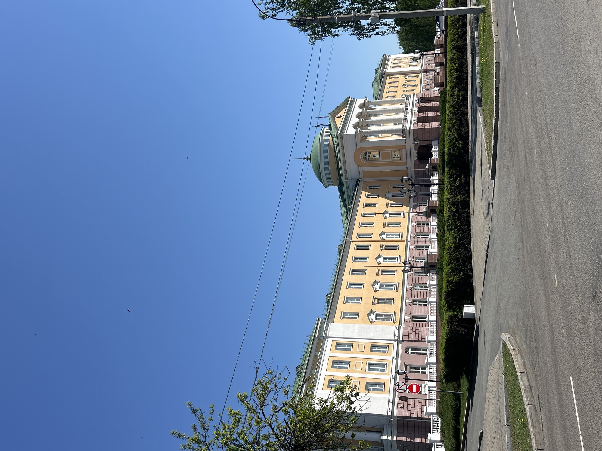 The image shows a street in Izhevsk, Russia, with the Presidential Palace of the Udmurt Republic prominently featured. The palace, a multi-story building with a distinctive green dome, is painted in yellow and white with dark pink or red accents. The facade features numerous windows and decorative elements like columns and balustrades. A well-maintained green hedge runs along the sidewalk in front of the building. An asphalt road runs beside the sidewalk, and a street curb separates it from the grassy median. A "no left turn" sign is visible near the bottom of the frame. Power lines stretch across the clear blue sky, which occupies a significant portion of the image. Some sparse tree branches are also present in the foreground. The image is taken at a low angle, looking upwards at the building.