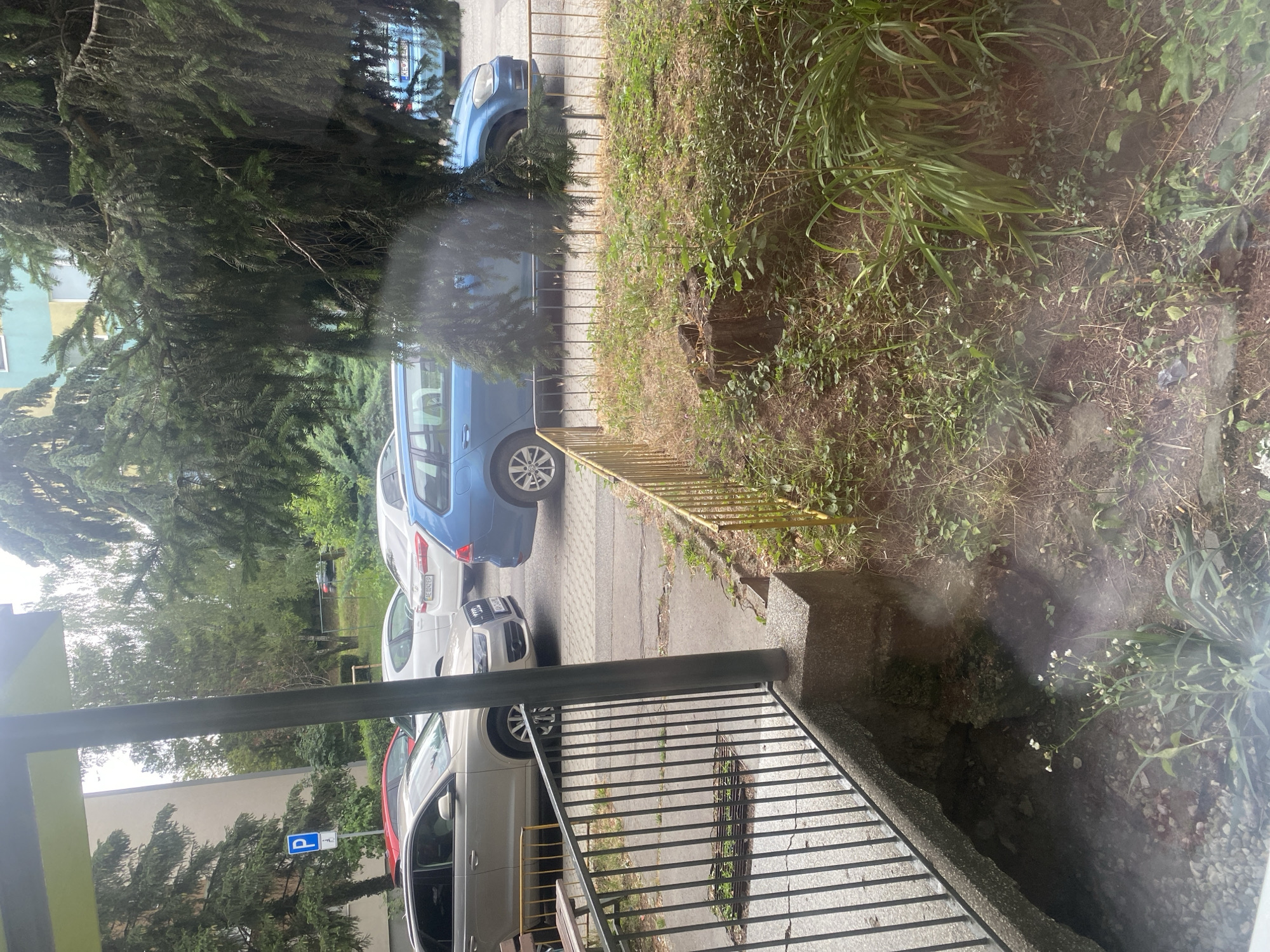 The image is an outdoor, ground-level view of a residential area in the city of Košice, Slovakia. In the foreground, there is a concrete structure with a metal railing, suggesting it is part of a building's entrance or a walkway. Below the railing, there is a patch of disturbed ground with some small white flowers growing. Adjacent to the concrete structure, a yellow metal fence encloses an area with dry grass, a tree stump, and more vegetation.
Behind the fence, several cars are parked on a paved surface. From left to right, there is a silver Audi Q3, followed by a white car, and then a blue station wagon. A red car is visible further back. The parking area is bordered by a sidewalk. In the background, tall evergreen trees and deciduous trees are prominent, with a section of a multi-story building visible above the trees on the left. A blue parking sign with a white 'P' is mounted on a pole behind the silver Audi. The overall impression is a typical urban residential street scene, likely a parking area adjacent to an apartment building, common in Košice. The lighting suggests it is daytime, possibly overcast.