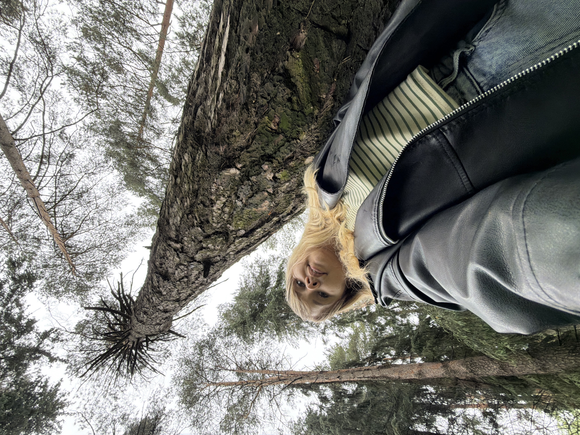A woman with blonde hair is looking at the camera in an upward angle shot. She is wearing a black leather jacket over a striped shirt and blue jeans. To the left of the woman is a large tree trunk with rough bark. The tree is surrounded by other trees with sparse branches against a light overcast sky. The location is Chaikovsky, Russia.