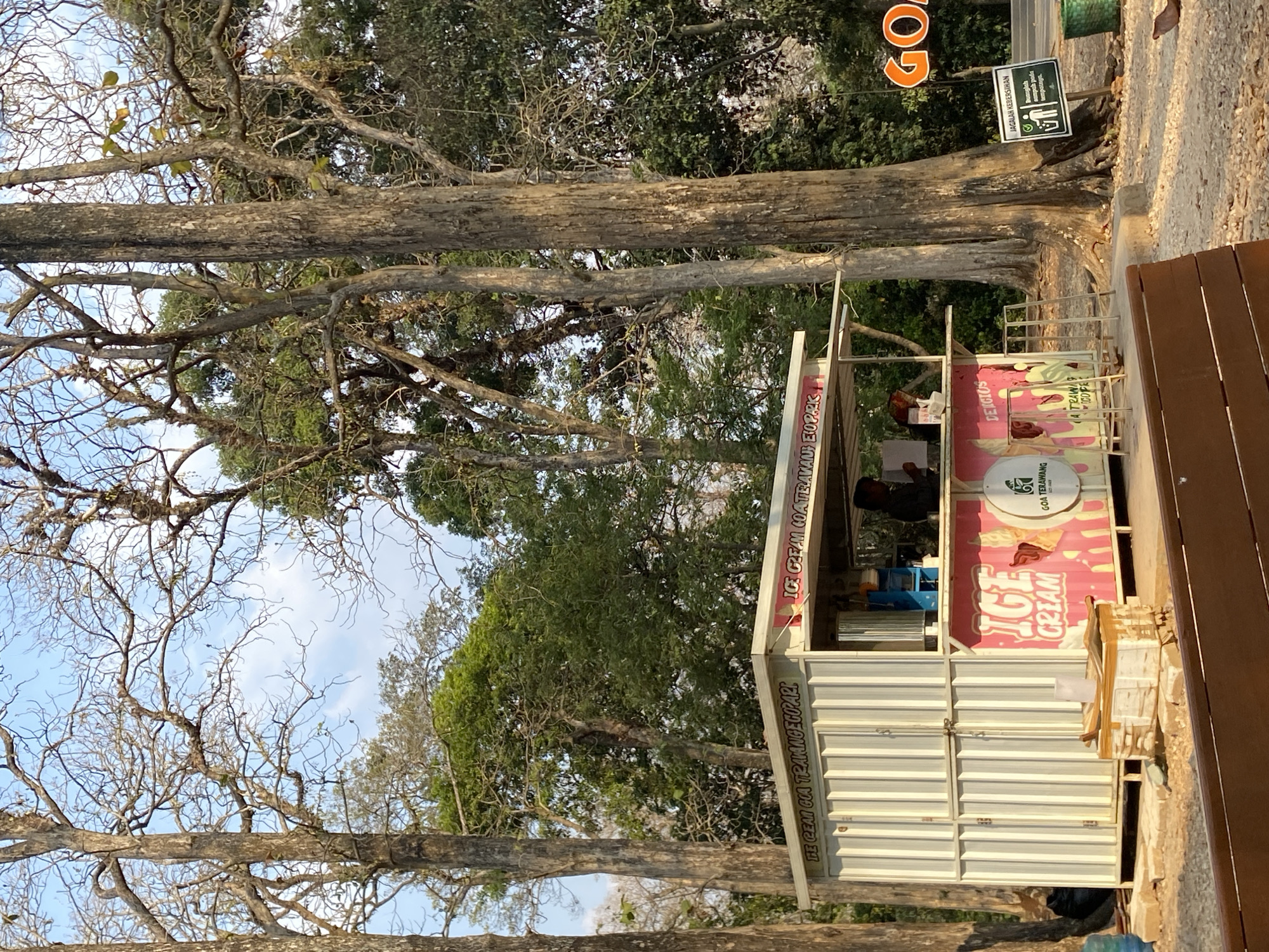 The image depicts an outdoor scene at the Goa Terawang tourist attraction in the city of Ketileng, Indonesia. In the foreground, a brown wooden bench is partially visible, suggesting a seating area for visitors. Dominating the mid-ground is a white, modular kiosk with a pink and white advertisement for "ICE CREAM GOA TERAWANG ECO PARK." The kiosk has an open serving window where two individuals are visible. One person, presumably an employee, is standing behind the counter and appears to be serving a customer. In front of the kiosk, there are some boxes and a plastic water bottle. The kiosk is situated amidst a grove of tall trees with bare branches, indicating a potential dry season or deciduous nature of the flora. In the background, a large orange sign with the word "GOA" is visible, further identifying the location. Adjacent to the sign is a smaller, white sign with text in Indonesian, which appears to be informational signage related to cleanliness, featuring a green checkmark and an icon of a person disposing of trash in a bin. A green trash bin is also present near the signage. The ground is covered with gravel and sand, and the overall lighting suggests it is late afternoon or early morning, with the sun casting shadows.