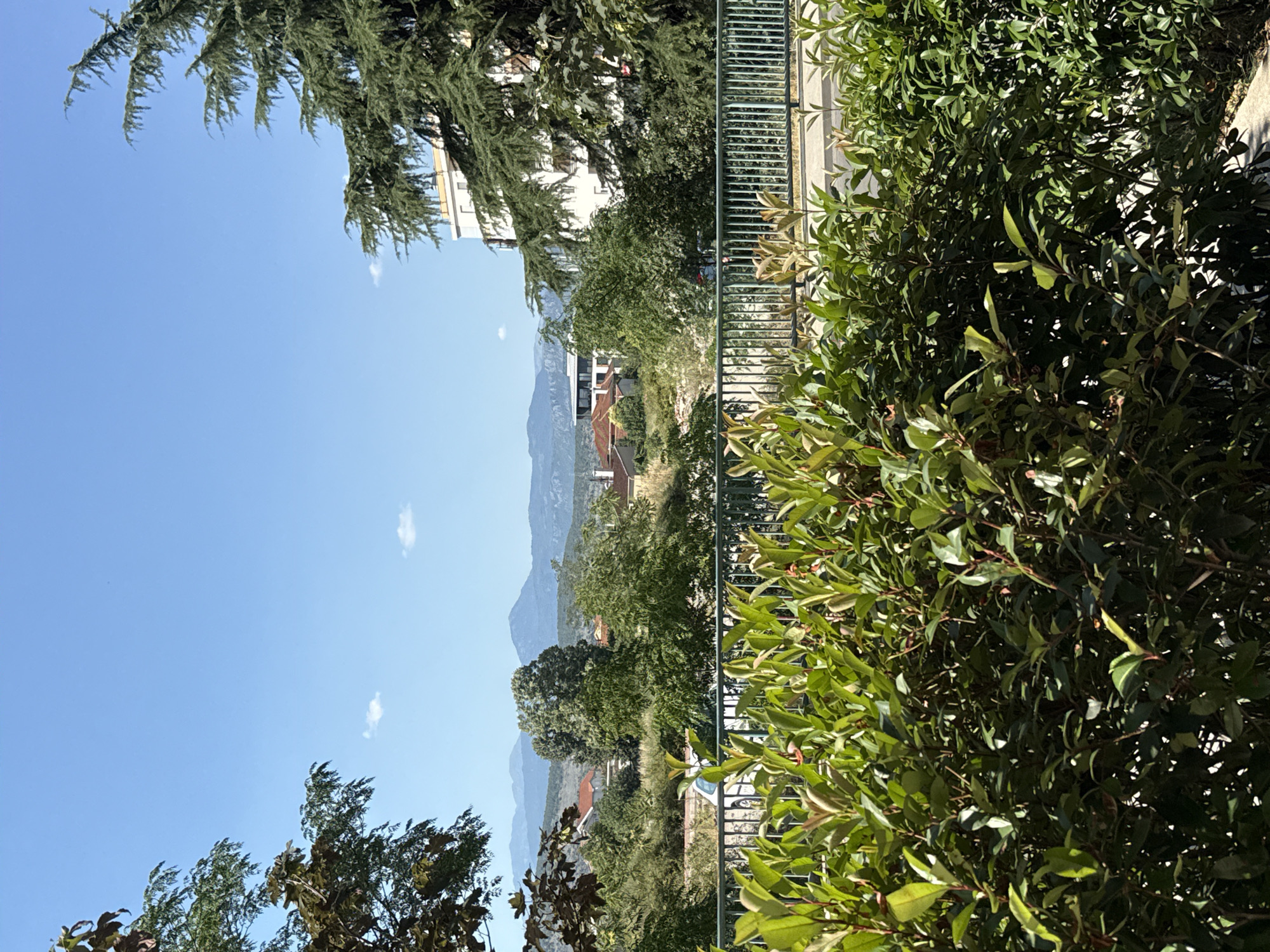 The image shows a view from a street level perspective, looking outwards towards a town and distant mountains under a clear blue sky. In the foreground, a dense hedge of green leafy bushes with red-tinged new growth is visible, partially obscuring a green metal railing. Beyond the railing, a street or road is visible with a white car parked on the side. Further in the background, there are buildings with red-tiled roofs, characteristic of a residential area, interspersed with numerous trees. A taller, multi-story building with white walls and balconies stands to the right, partially obscured by a large evergreen tree with dark green needles. In the far distance, a range of mountains under a hazy sky completes the scene. The lighting suggests it is a sunny day, casting shadows on the foliage in the foreground.