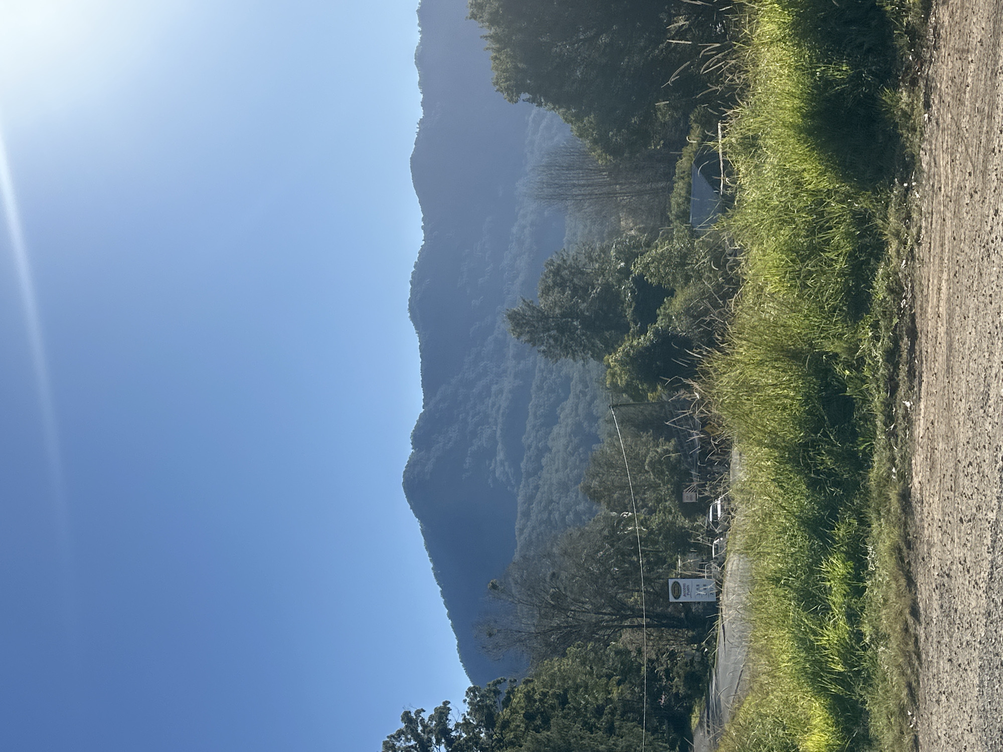 The image captures a sun-drenched, rural landscape with a prominent mountain range dominating the background under a clear blue sky. In the foreground, a gravelly dirt track leads towards a stretch of vibrant green grass and foliage. To the left, a paved road is visible with a signpost and a few parked cars, suggesting a small settlement or service area. Dense trees line the road and the base of the mountains, their lush green leaves contrasting with the hazy blue of the distant peaks. The overall impression is one of natural beauty and tranquility in a sparsely populated area.