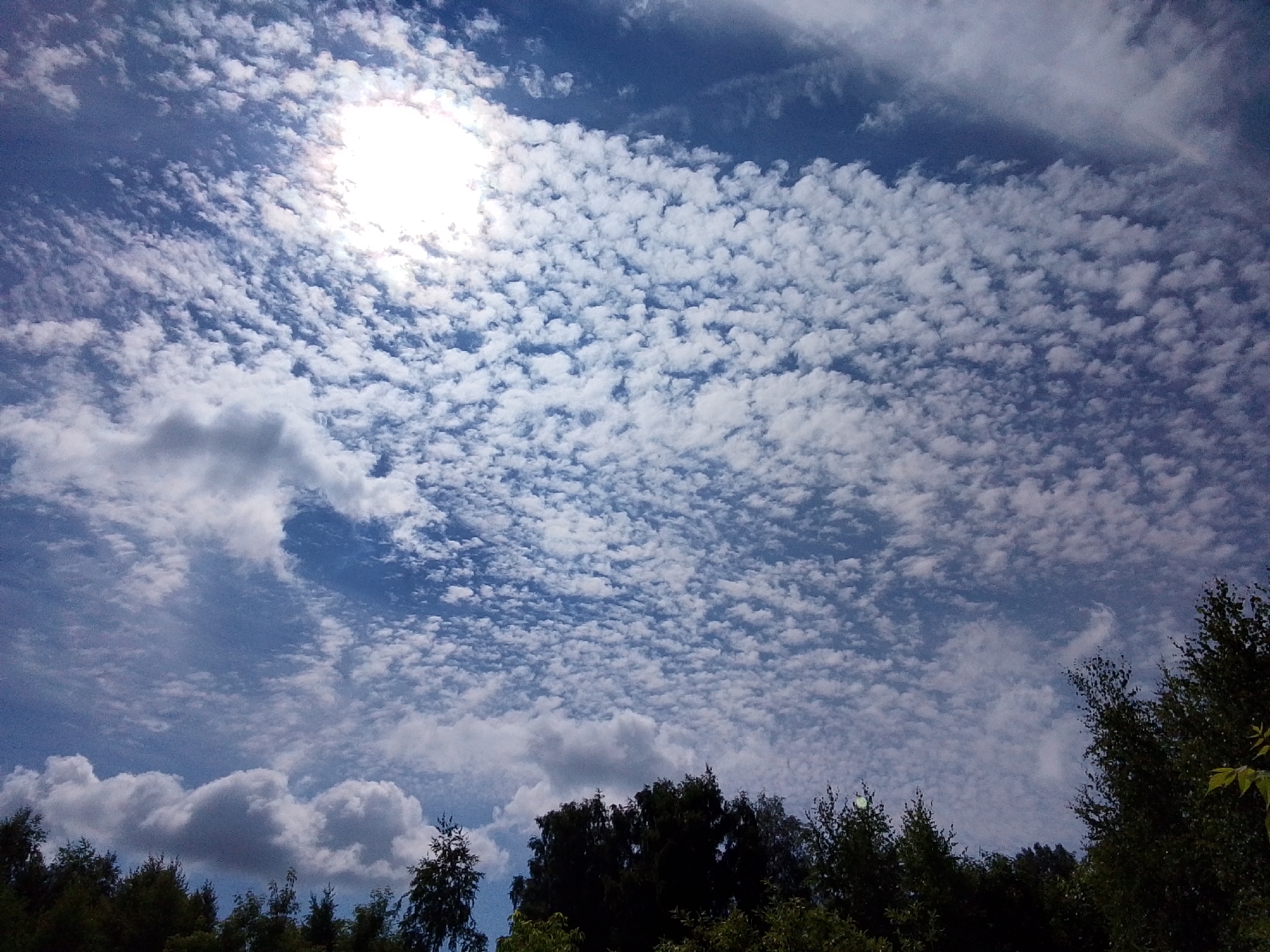 The image captures a vast sky filled with scattered white clouds against a bright blue backdrop. The sun, partially obscured by clouds, shines intensely in the upper left quadrant, casting a bright glow. Below the sky, a dense line of dark green trees stretches across the bottom of the frame, with the upper branches and foliage silhouetted against the sky. The scene is likely outdoors, and the vegetation suggests a natural or park-like setting. There are no people or specific structures visible that would indicate a precise location within Снопок Новый, Russia, beyond the general observation of a sky with trees.