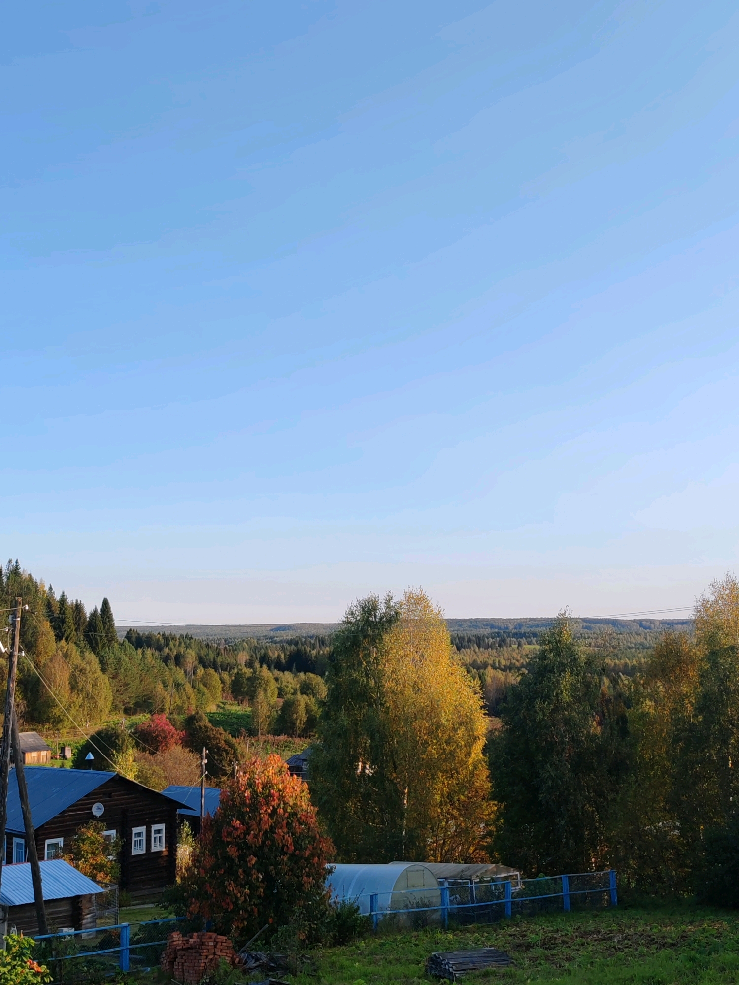 The image captures a rural landscape under a clear blue sky, likely in the city of Chuchlem, Russia, given the style of the wooden houses and the surrounding forested terrain. In the foreground, a dark wooden house with white-framed windows is visible, featuring a blue metal roof. Adjacent to it is a smaller wooden structure with a similar blue roof. A bright blue fence runs across the lower portion of the image. To the right of the main house, a deciduous tree with vibrant orange and red leaves stands out. Further back, a greenhouse with a translucent roof is situated behind the blue fence. The middle ground is dominated by rolling hills covered in a dense forest, with trees displaying various shades of green and yellow, suggesting an autumn setting. A telephone pole with wires is visible on the left side of the frame, near the edge of the forested area. The background consists of a hazy, distant horizon of more forested hills. The lighting indicates it is late afternoon or early evening, with the sun casting a warm glow on the scene. No people or animals are present.