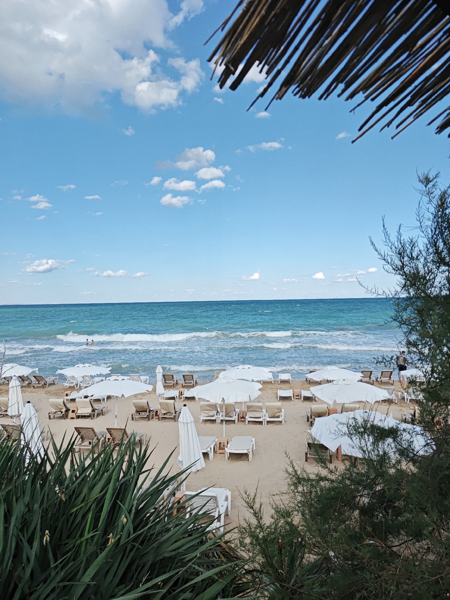 A high-angle, eye-level shot captures a sandy beach on a bright, cloudy day. The foreground is dominated by lush green foliage, obscuring the lower portion of the scene. Beyond the foliage, rows of white lounge chairs and umbrellas are neatly arranged on the sand, many unoccupied. Further back, the turquoise ocean stretches to the horizon, with gentle waves lapping the shore. Two individuals are visible in the shallow water, appearing to swim. The sky is a vibrant blue, dotted with scattered white clouds. The scene evokes a sense of tranquility and relaxation.