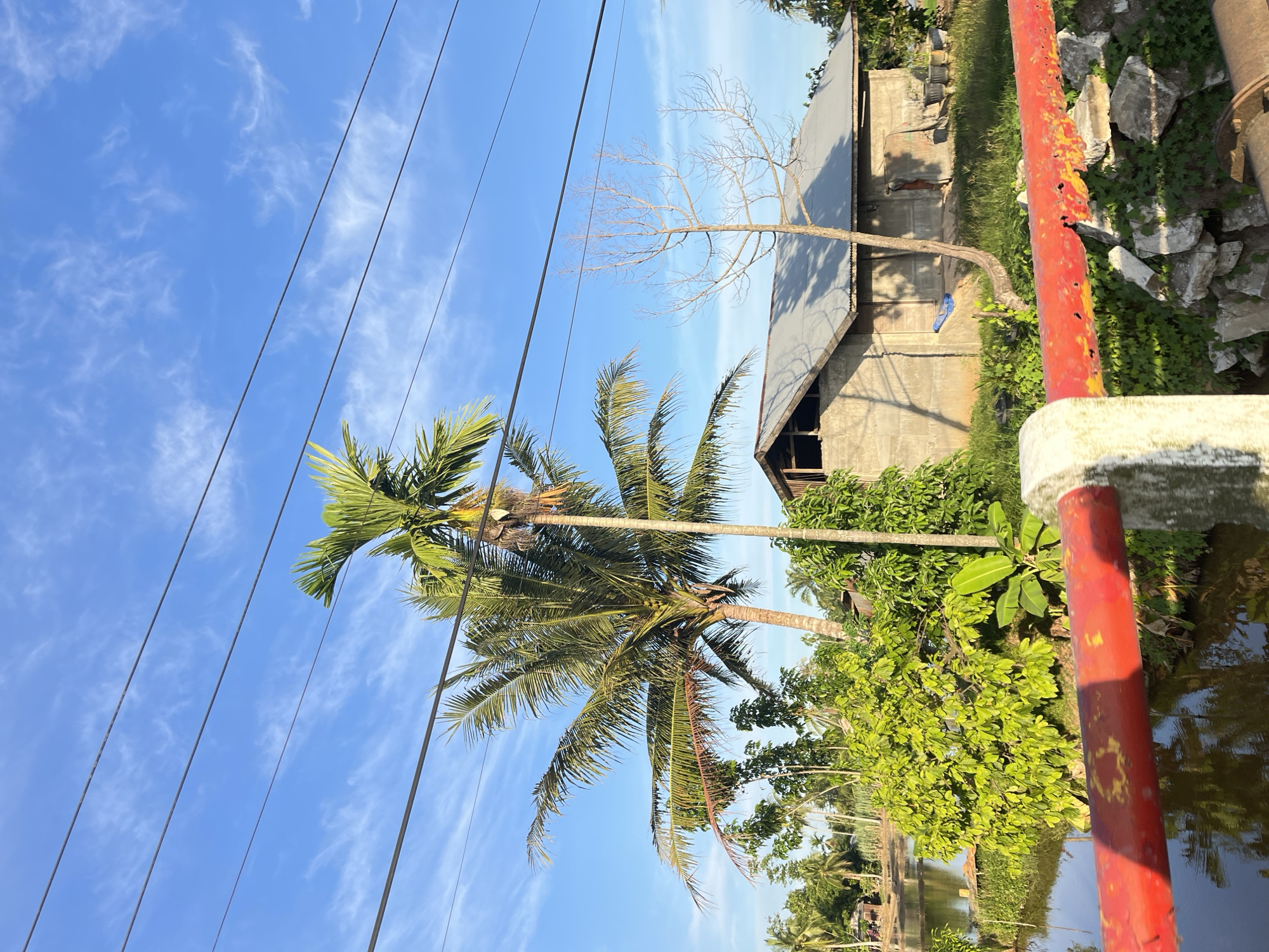This is a photo of the village of Seuneubokpunti, Indonesia, taken on a bright, sunny day. In the foreground, there is a red-painted railing with white concrete supports. Beyond the railing, a body of water reflects the sky. The water is bordered by lush green vegetation and several trees, including two prominent palm trees. In the midground, there is a simple, gray concrete house with a corrugated metal roof. A bare, leafless tree stands beside the house. Further in the background, more palm trees and other vegetation can be seen, along with hints of other rural structures. The sky is a clear blue with scattered white clouds, and power lines are visible across the top of the frame.