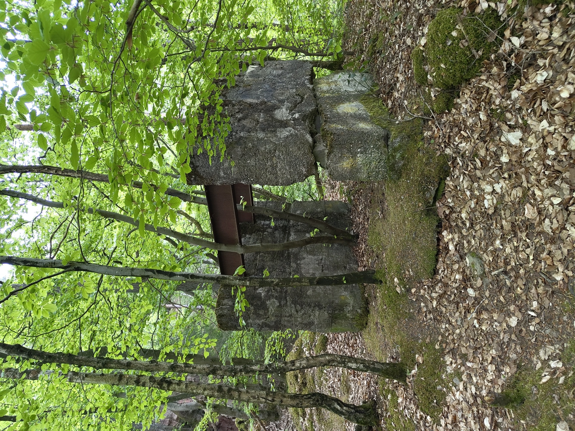 The image shows an overgrown concrete structure within a forest, likely located in Perl, Germany. The structure appears to be decaying, with moss and foliage covering its surface. A rusty metal beam spans between the two concrete sections. The ground is covered in fallen leaves and moss. Young trees with bright green foliage are growing around the structure, partially obscuring it from view. The scene is bathed in dappled sunlight.