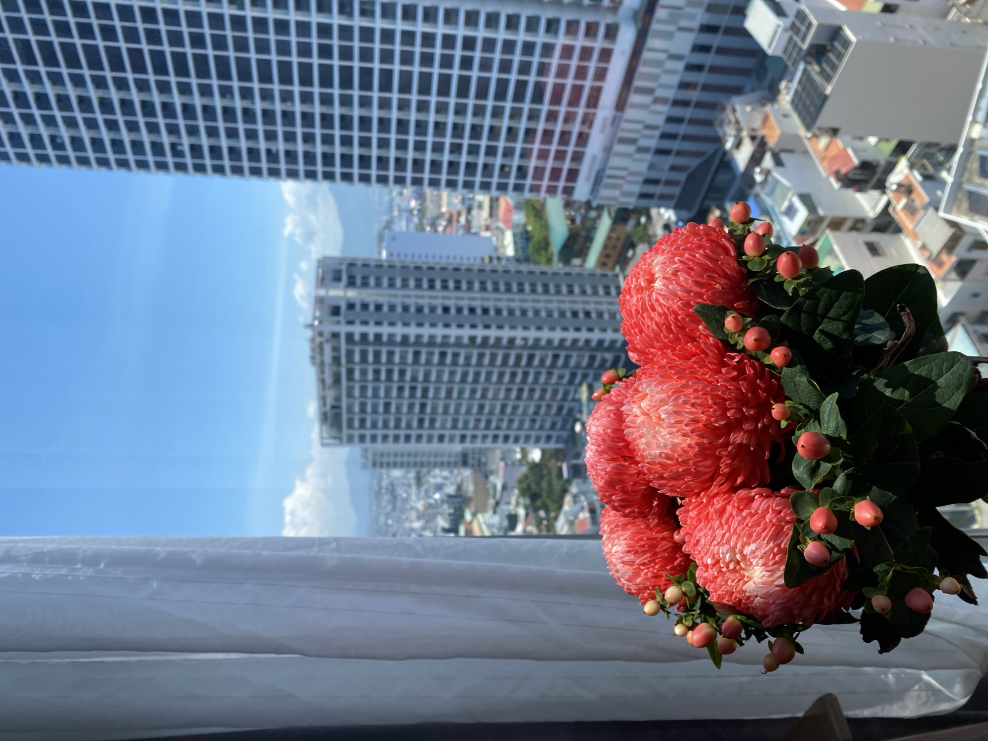 In Nha Trang Ward, Vietnam, this image captures a close-up view of a bouquet of vibrant red flowers with small pink berries, positioned in the foreground. The flowers are lush and full, with delicate petals and a hint of lighter pink towards their centers. Behind the floral arrangement, a white sheer curtain drapes down the left side of the frame. The background reveals a cityscape seen through a window, characterized by numerous multi-story buildings of varying architectural styles and colors. Two prominent skyscrapers, one on the right with a grid-like pattern of windows and another in the distance with a lighter facade, dominate the view. The sky above is a clear, bright blue with a few scattered white clouds, suggesting a sunny day. The overall scene is a juxtaposition of natural beauty and urban landscape, likely taken from a high vantage point within a building.
