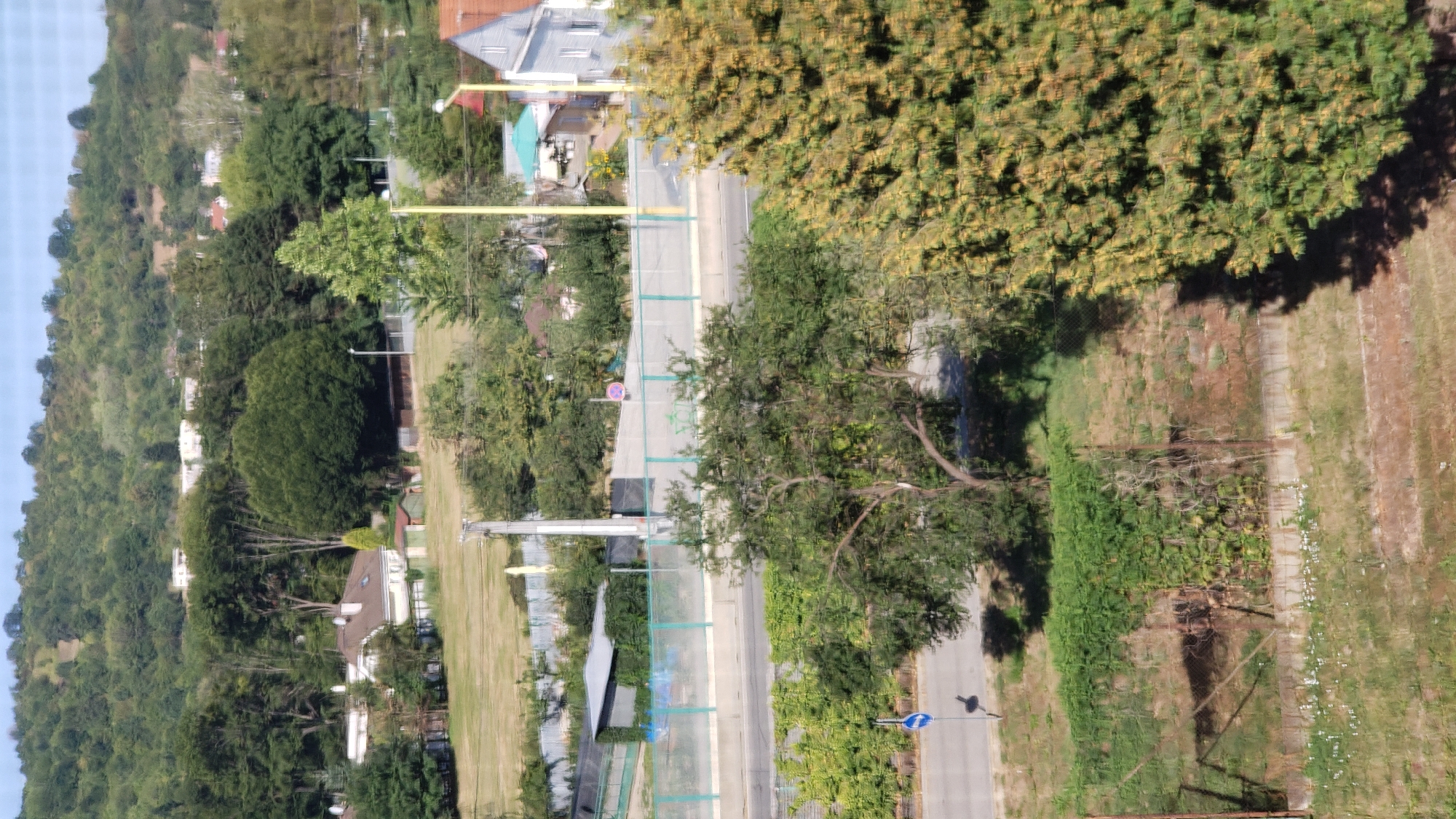 The image captures a view from an elevated position overlooking a residential area nestled against a tree-covered hillside. In the mid-ground, several houses with pitched roofs are visible, surrounded by lush green trees. A road runs horizontally across the middle of the frame, with a light-colored barrier or fence bordering it on the far side. Beyond the road, a large, mature tree with a dense canopy dominates the foreground on the right side of the image. The background shows a rolling hill covered in dense forest. The overall scene depicts a tranquil, semi-rural setting within a city. The presence of houses, roads, and trees suggests an urban or suburban environment. The time of day appears to be daytime, with sunlight casting shadows.