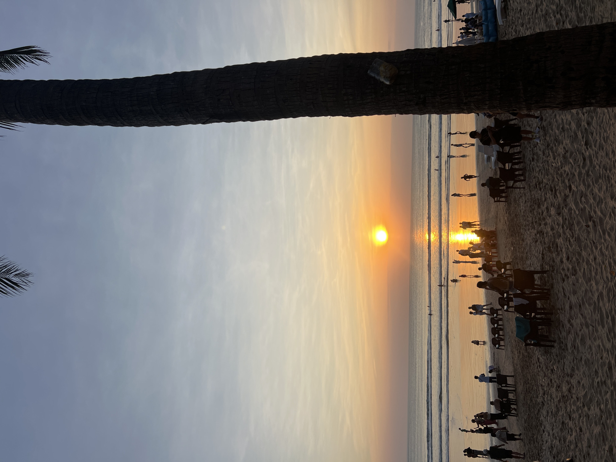 This image captures a sunset scene at Kuta Beach in Kuta, Indonesia. The sun, a bright orange orb, is setting over the ocean, casting a golden glow on the water and the wet sand. The sky is a gradient of pale blue at the top, transitioning to soft oranges and yellows closer to the horizon. Silhouetted against the vibrant sky and its reflection are numerous people scattered across the beach and in the shallow water. Some are standing, others are walking, and a few appear to be playing or wading.
On the sandy foreground, there are several groups of people. Some are gathered around tables and chairs, likely patrons of beachside cafes or restaurants. There are also lounge chairs set up on the sand. A prominent, thick palm tree trunk dominates the right side of the frame, its textured bark visible. A clear plastic bag is attached to the trunk. Gentle waves are rolling onto the shore, creating a serene atmosphere. The overall impression is one of a popular tourist destination enjoying a beautiful evening.