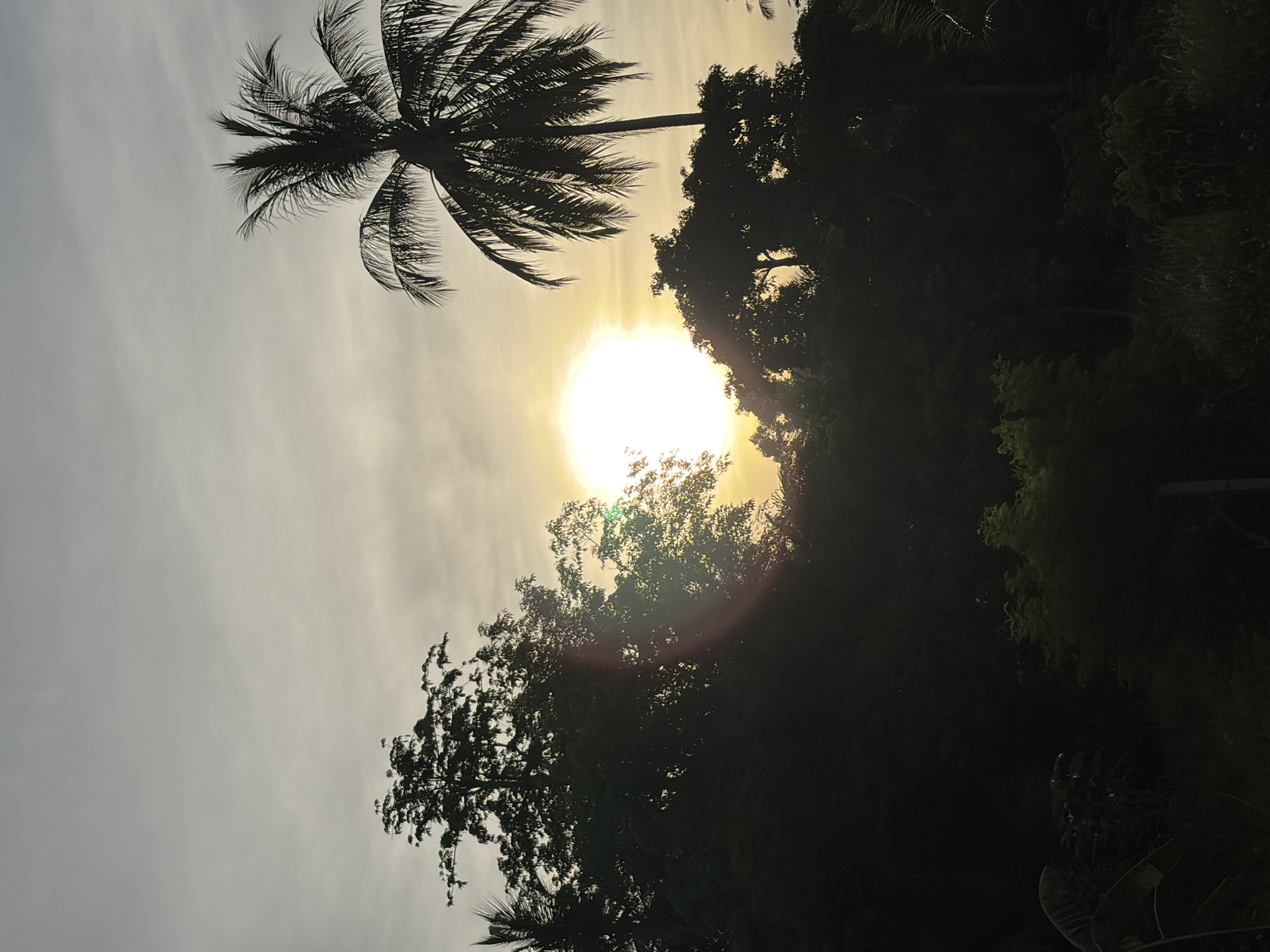 The image captures a sunset in Baan Mae Nam, Thailand. Silhouetted against the bright sun and hazy sky are several trees, including a prominent palm tree on the right. The foreground is dark and obscured by dense foliage and shadows. A lens flare is visible in the lower center of the image, indicating the sun's intensity. The environment appears to be natural, possibly a rural area or the outskirts of a settlement, with lush vegetation dominating the scene.