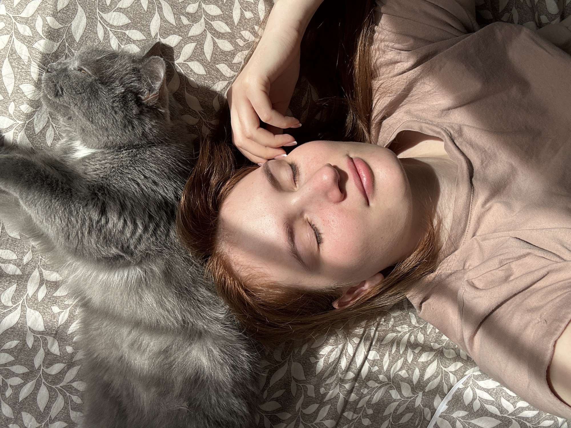 A woman with closed eyes lies on a patterned bedsheet, a gray cat resting near her. The woman has fair skin, reddish-brown hair, and is wearing a light brown t-shirt. Sunlight casts shadows across her face and the bed. The cat is gray with a white patch on its chest. The bedsheet has a pattern of leaves and branches in shades of brown and white. The location is likely an interior space in a residential dwelling. Location Chaikovsky, Russia cannot be determined from the image.