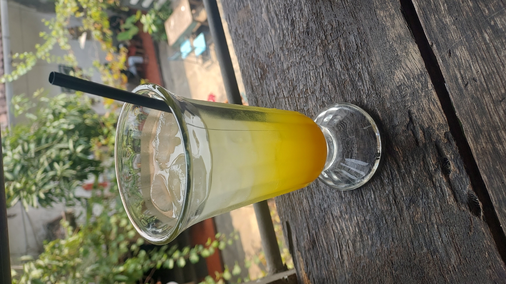 A glass of orange juice with ice and a black straw sits on a dark, weathered wooden table. The glass is filled with a gradient of orange juice at the bottom and a lighter, translucent liquid at the top. In the background, there is lush green foliage and a hint of buildings, suggesting an outdoor setting in a city. The scene appears to be an outdoor cafe in Malang, Indonesia, given the tropical vegetation and the architectural style of the distant buildings. The lighting indicates it is daytime, likely morning or afternoon, with natural sunlight filtering through the leaves. There are no people clearly visible in the frame.