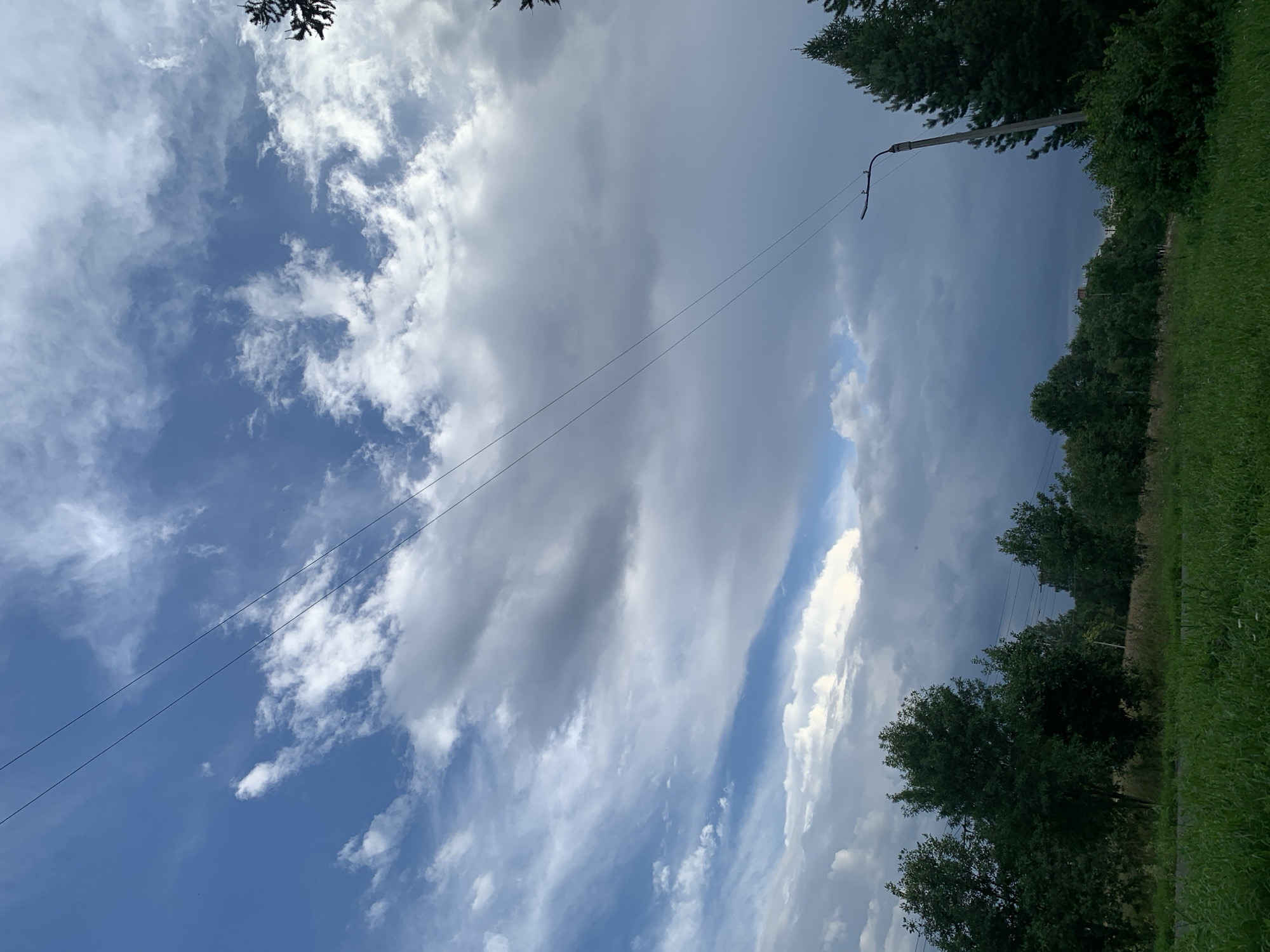 An exterior shot captures a cloudy sky above a green landscape, likely located in Prokopyevsk, Russia. Two parallel wires stretch diagonally across the frame from the upper left to the lower right. A lamppost stands on the right side of the image, its top portion obscured by a tall pine tree. The foreground is dominated by lush green grass and various trees. The sky is a mix of blue and white clouds, with some appearing darker and heavier, suggesting an overcast or approaching storm.