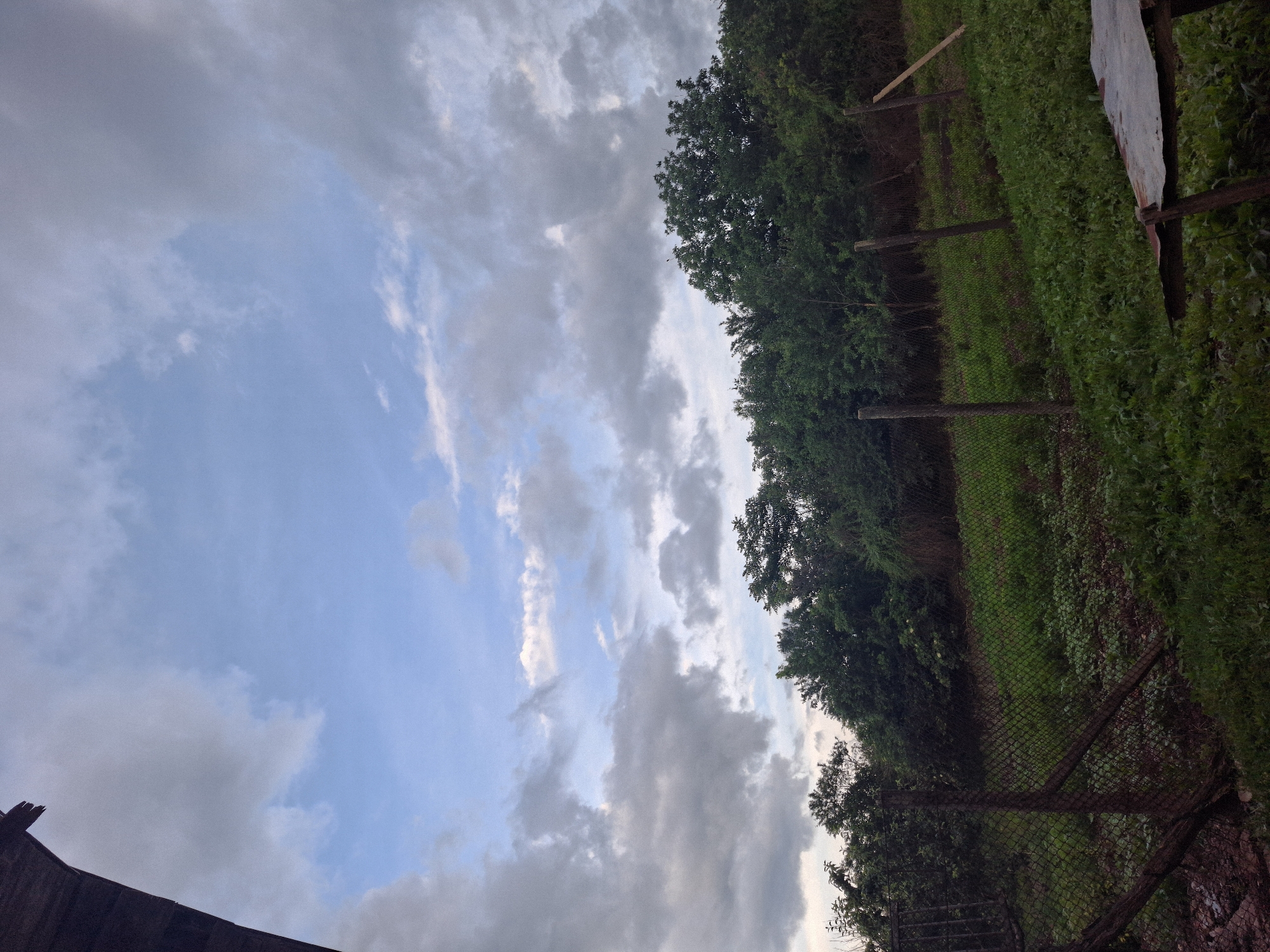 The image, captured in Vladinia, Bulgaria, presents an outdoor landscape under a partly cloudy sky. The upper two-thirds of the frame are dominated by a pale blue sky adorned with scattered greyish-white cumulus clouds, indicative of a day with mixed sun and cloud cover. A prominent line of dense, dark green trees and foliage stretches across the middle of the frame, forming a natural horizon and dividing the sky from the ground level. Below this line of trees, a wire mesh fence, likely a chain-link type, runs horizontally across the lower half of the image. It is supported by several rustic wooden or metal posts. The area immediately below the fence, in the foreground, is covered with lush green grass and low-lying vegetation. On the far right side, at ground level, a weathered, rusty sheet of metal or corrugated material is partially visible. In the bottom-left corner, a dark, angled structure, possibly the edge of a roof or building, is partially captured. The scene is static, devoid of human presence or any ongoing activity. The ambient lighting suggests it is daytime, possibly late afternoon, with soft, diffused illumination. No visible text is present in the image.