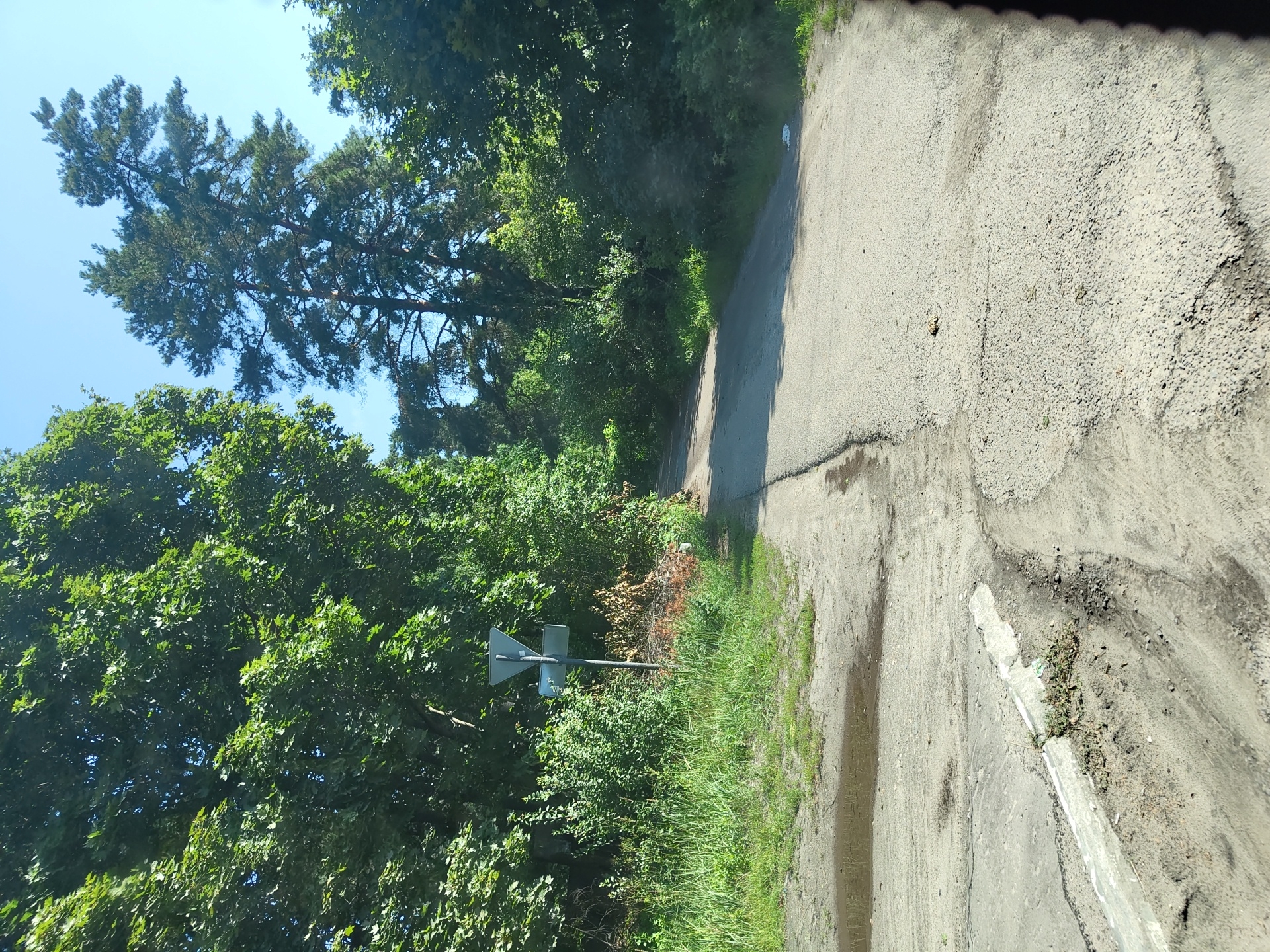 The image depicts a paved road winding through a dense forest on a sunny day. The road appears to be in a rural or suburban area, with tall green trees lining both sides. A traffic sign is visible on the left side of the road, indicating a junction or warning. The road surface is asphalt and shows signs of wear and tear, with some cracks and patches. There are puddles of water on the side of the road, suggesting recent rain or a drainage issue. The sky is clear and blue, with no visible clouds. The overall impression is a quiet, natural setting, likely a road in a park or a wooded residential area. This scene is consistent with the natural environment found in the outskirts of cities like Ramenskoye, Russia, which is known for its green spaces and forests.
